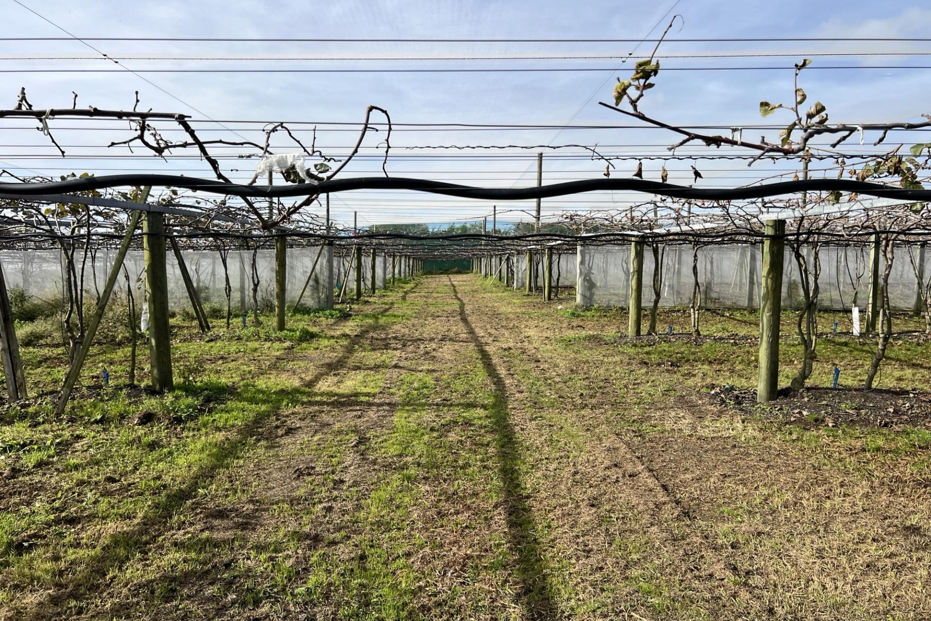 341 Glenbrook Waiuku Road, Glenbrook