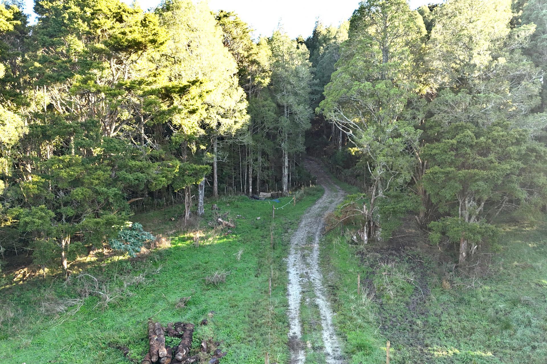 Parker Road, Wellsford