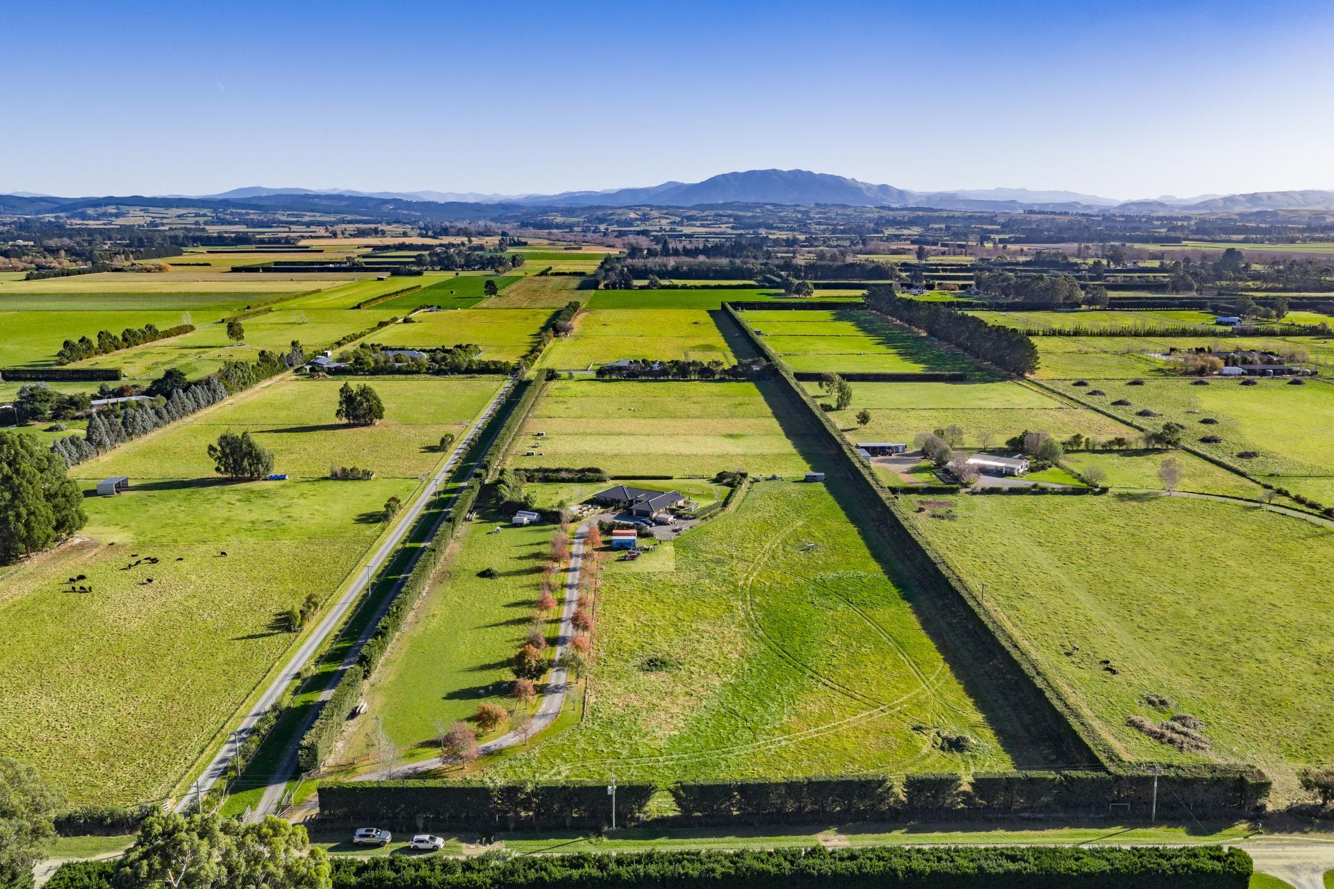 186 Terrace Road, Leithfield