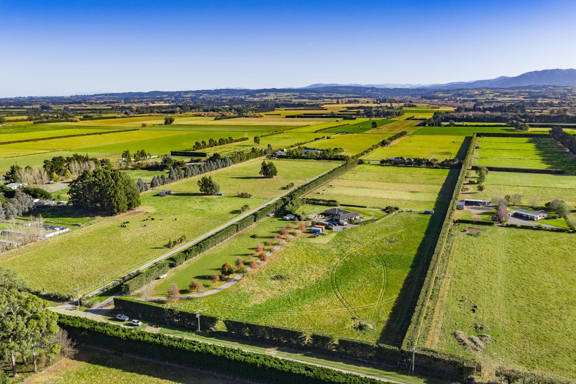 186 Terrace Road, Leithfield