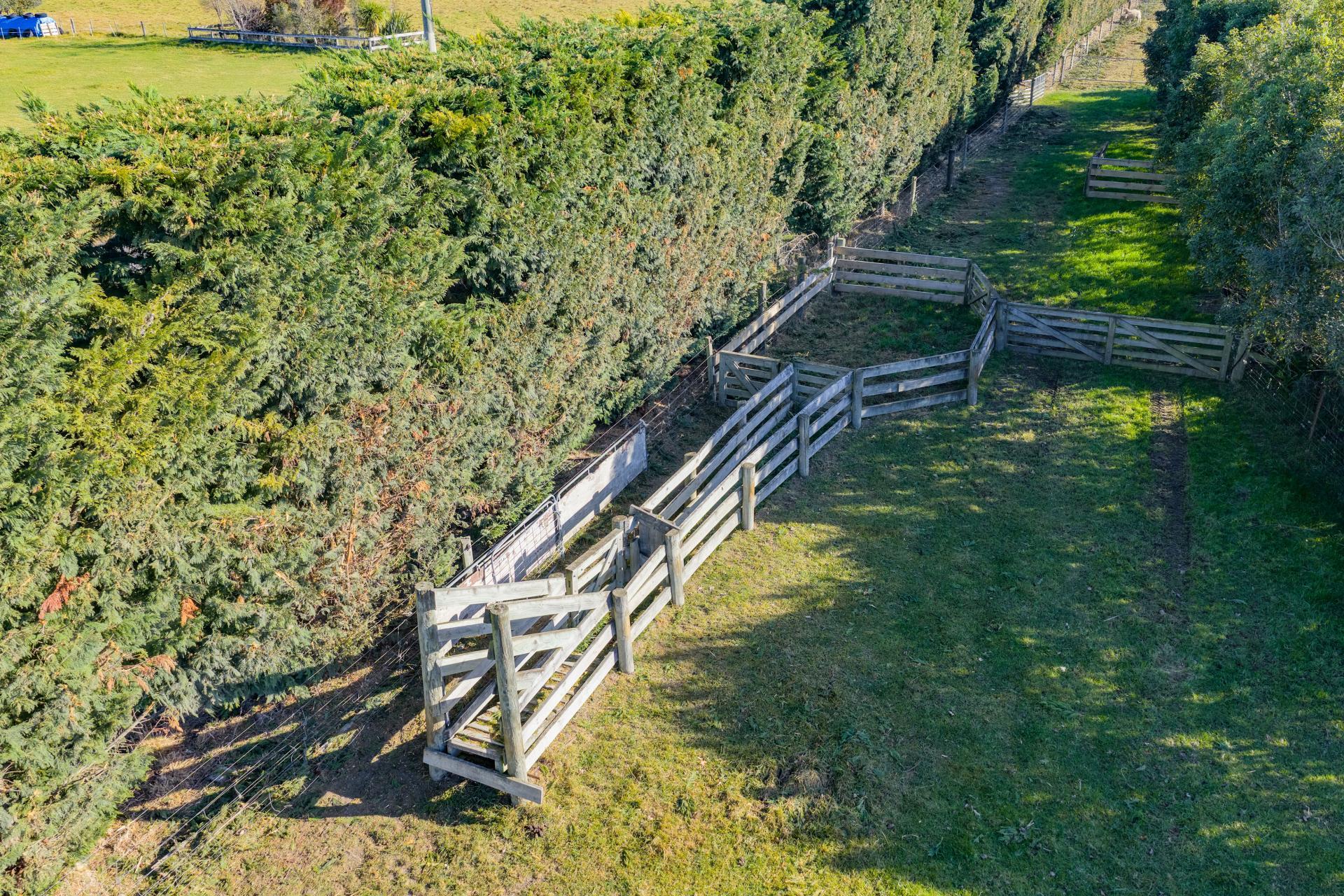 186 Terrace Road, Leithfield