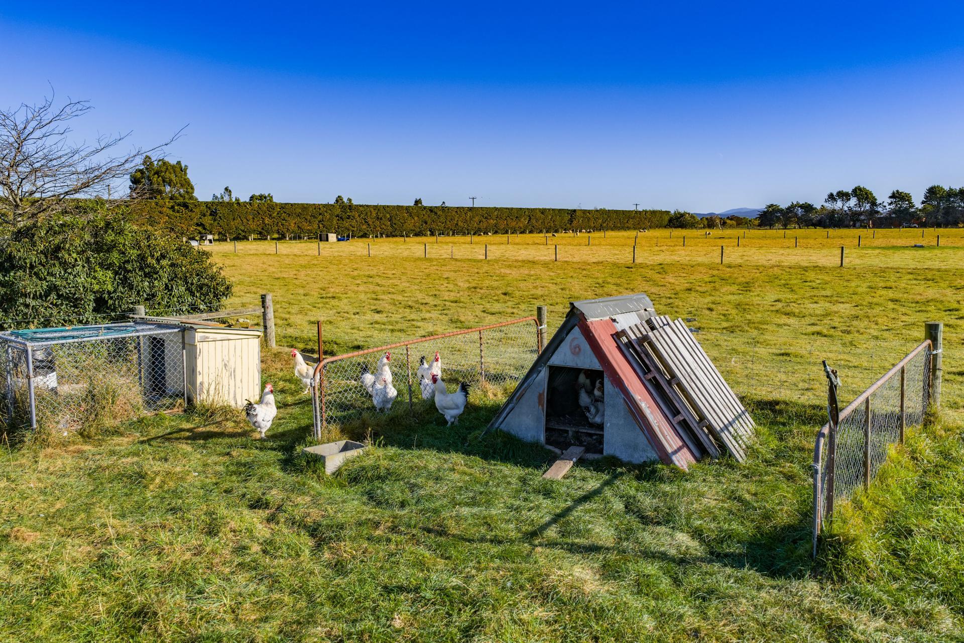 186 Terrace Road, Leithfield