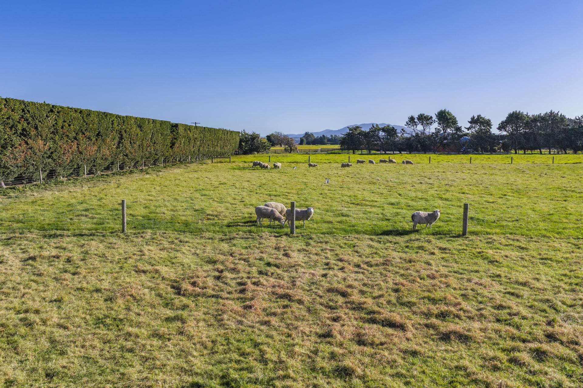 186 Terrace Road, Leithfield