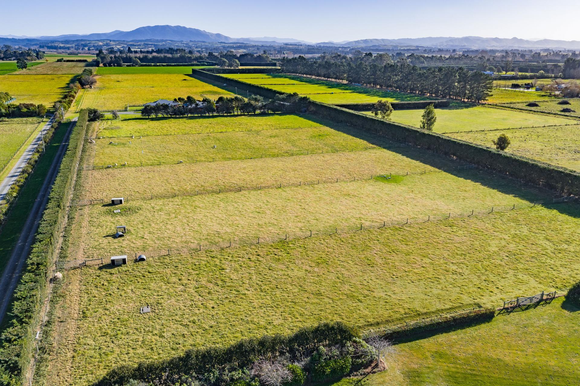 186 Terrace Road, Leithfield