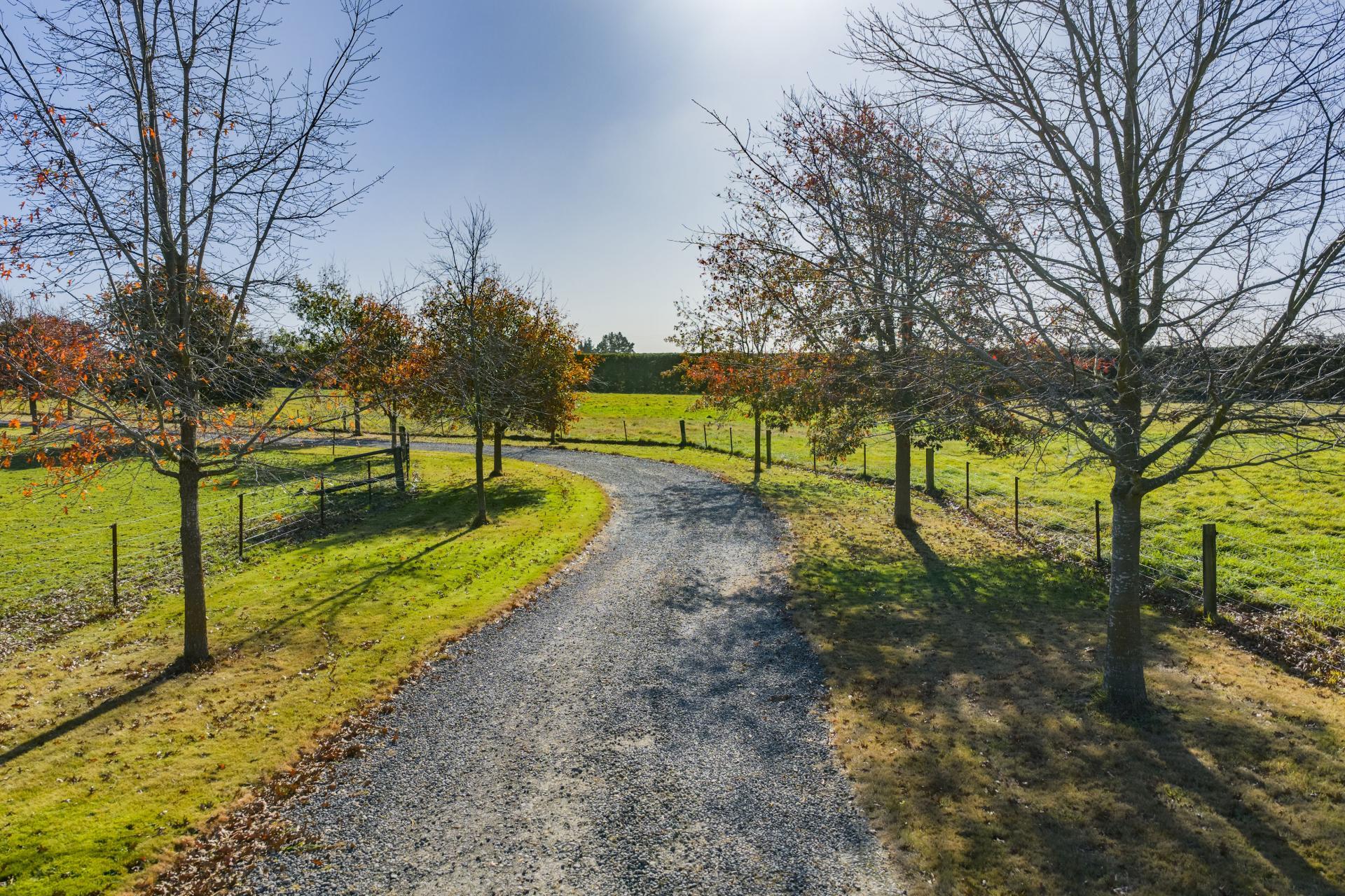 186 Terrace Road, Leithfield