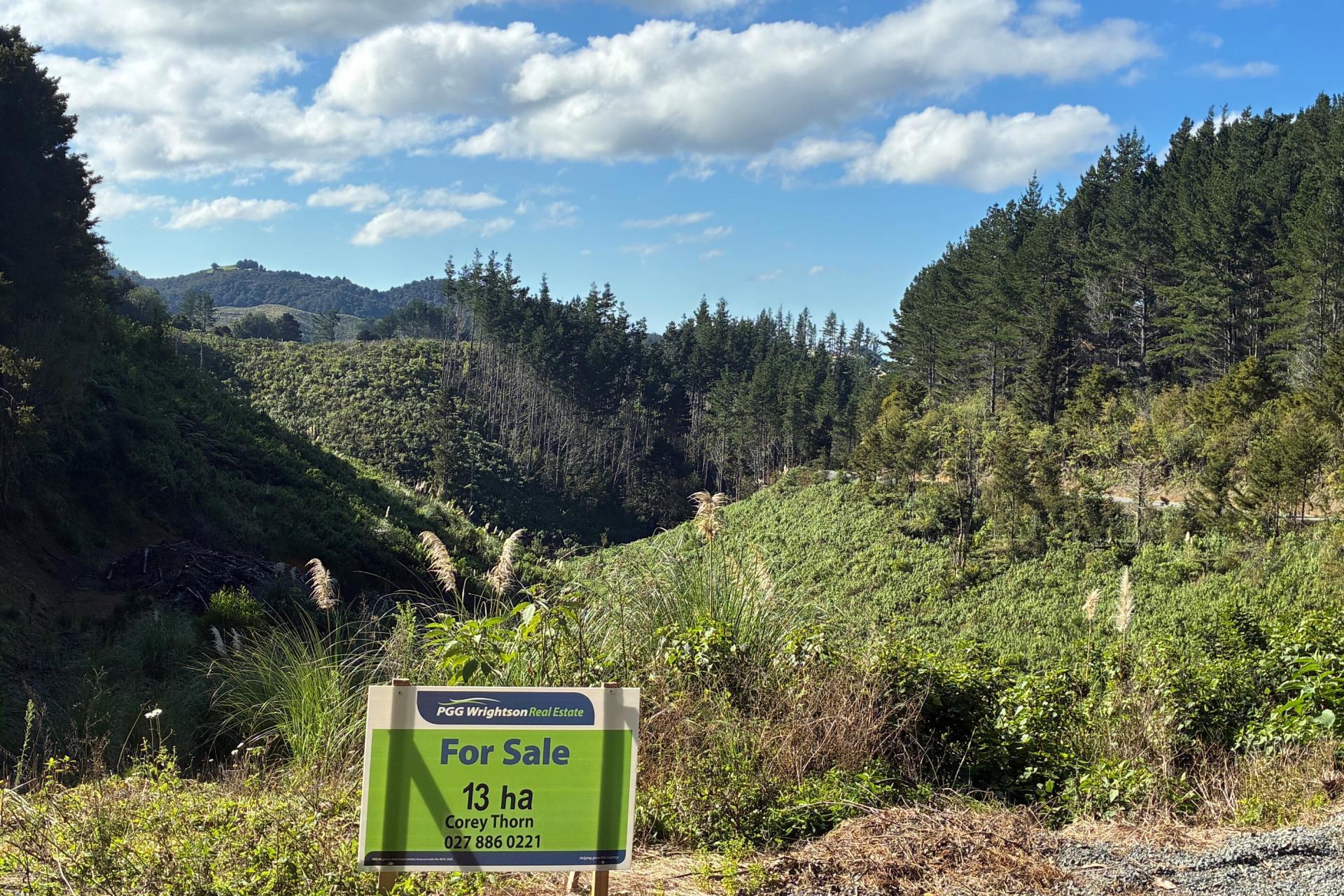 Taraunui Road, Parua Bay