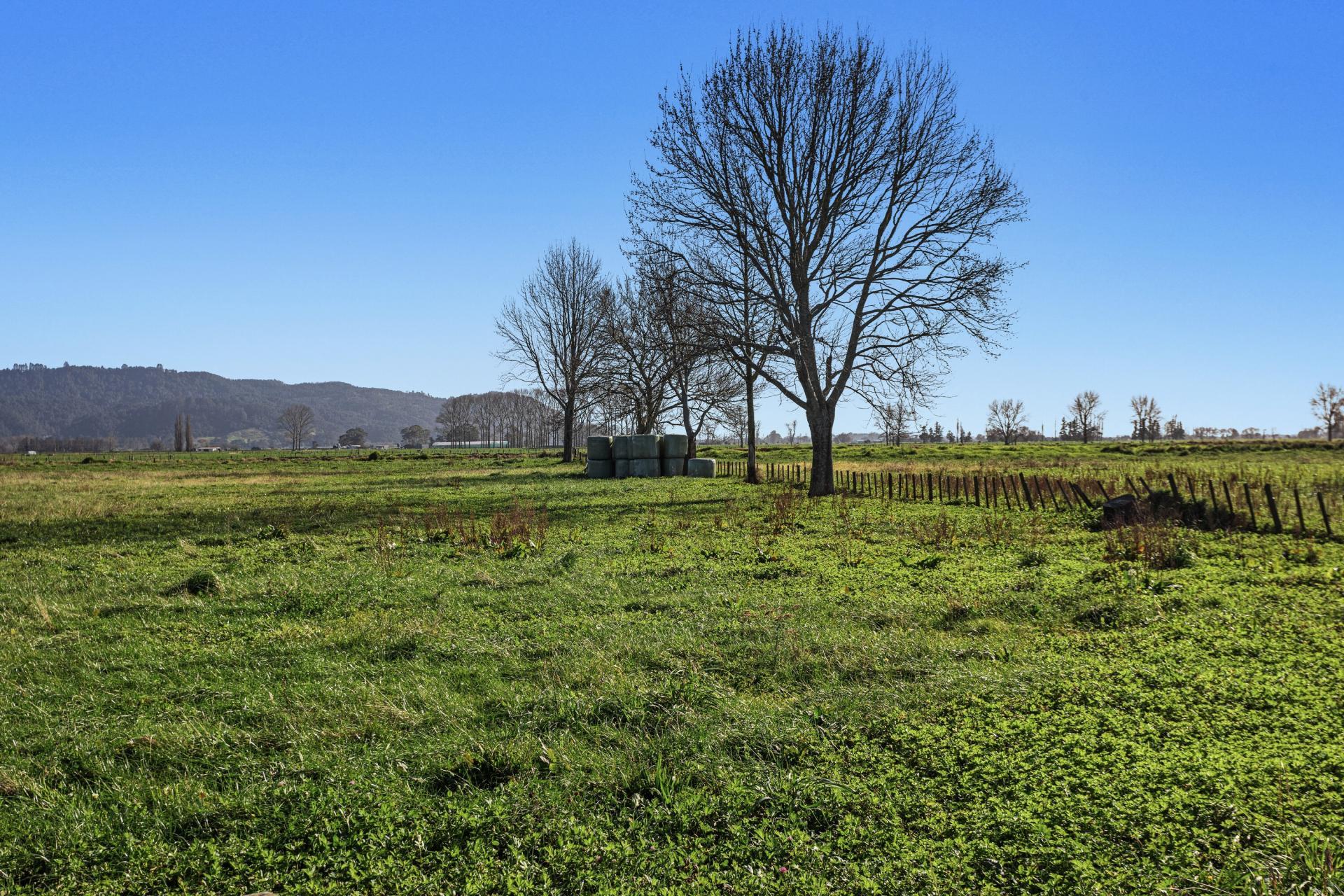 7 and 67 Awaiti Road North, Matata