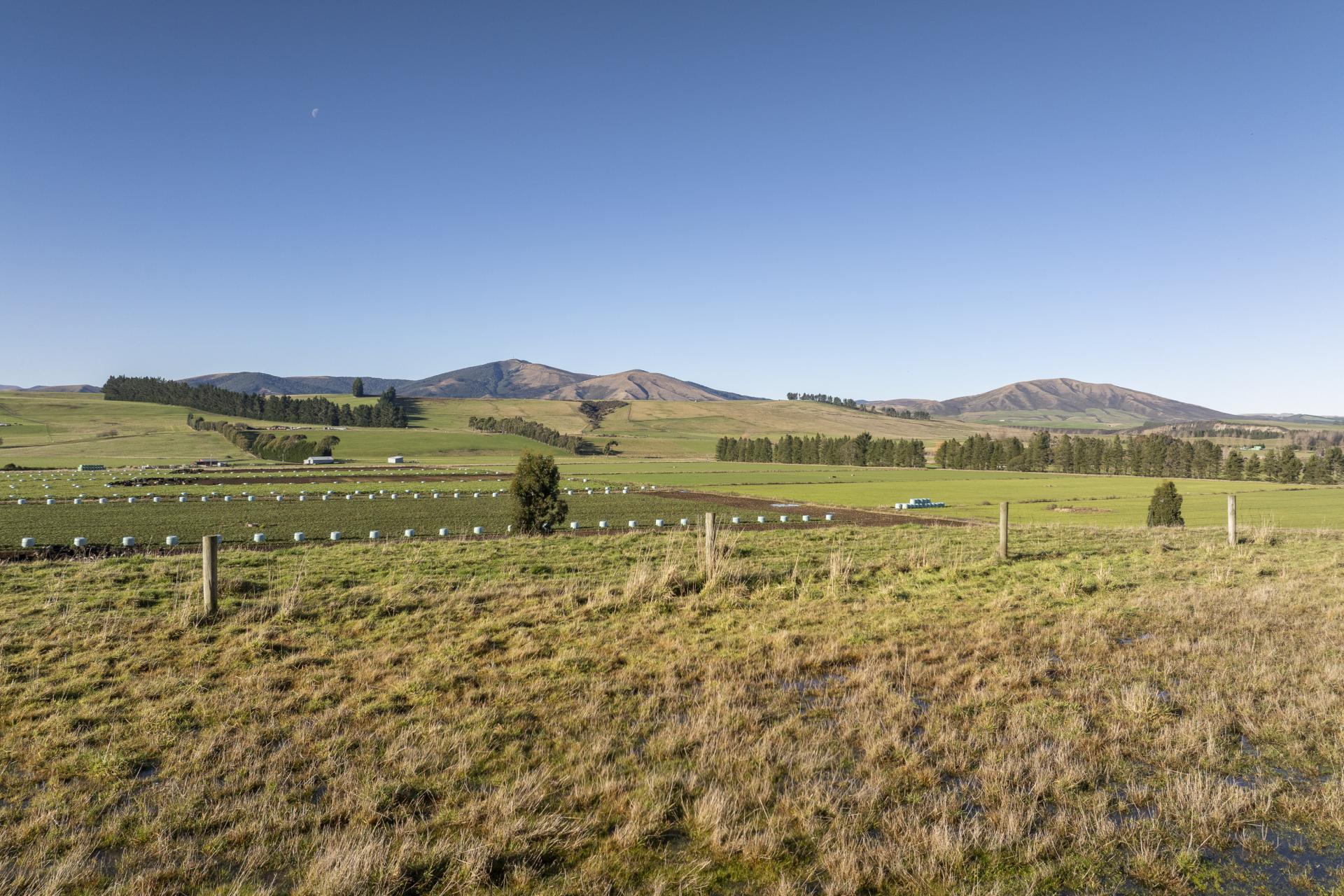 690 Kakapo Road, Te Anau