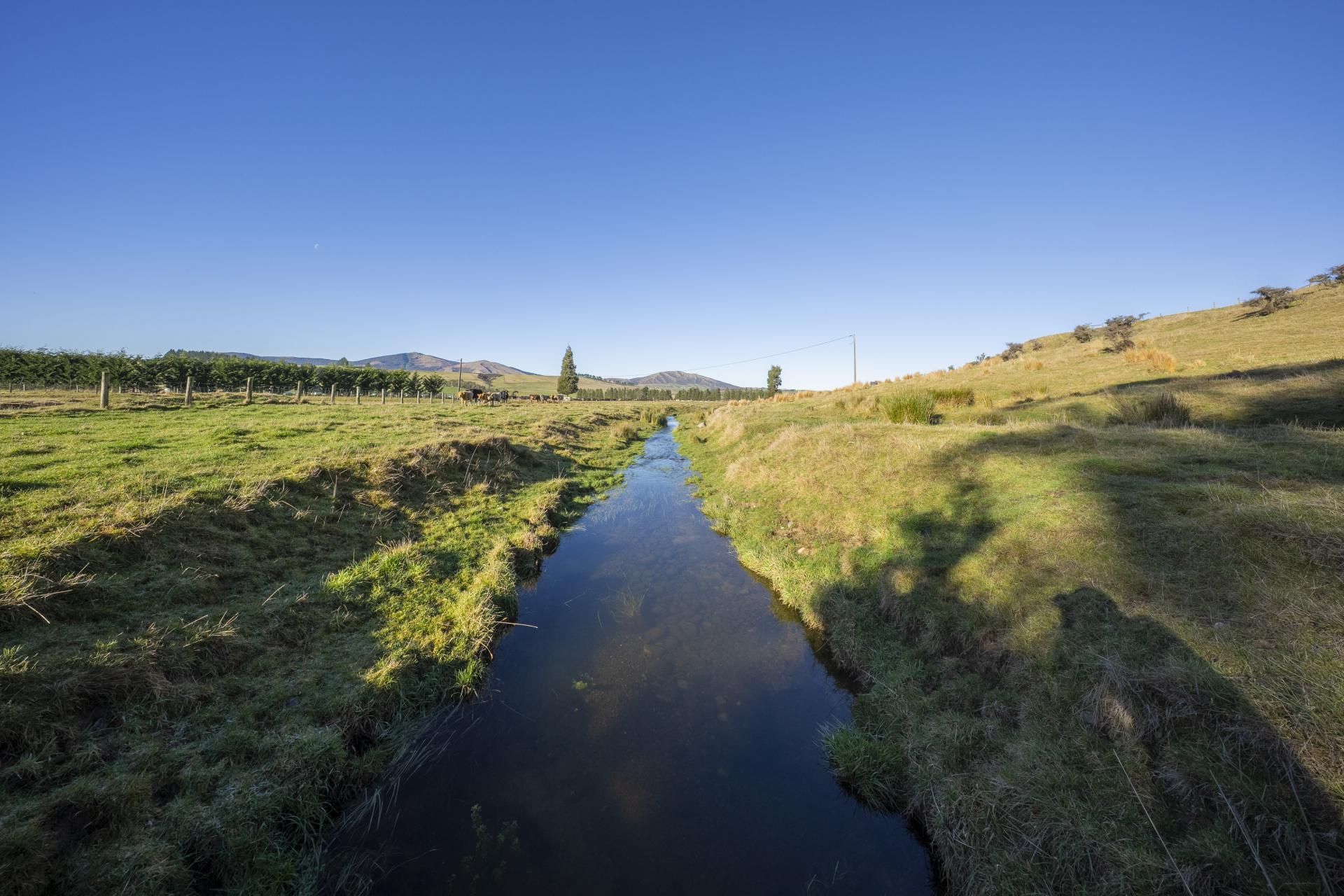 690 Kakapo Road, Te Anau