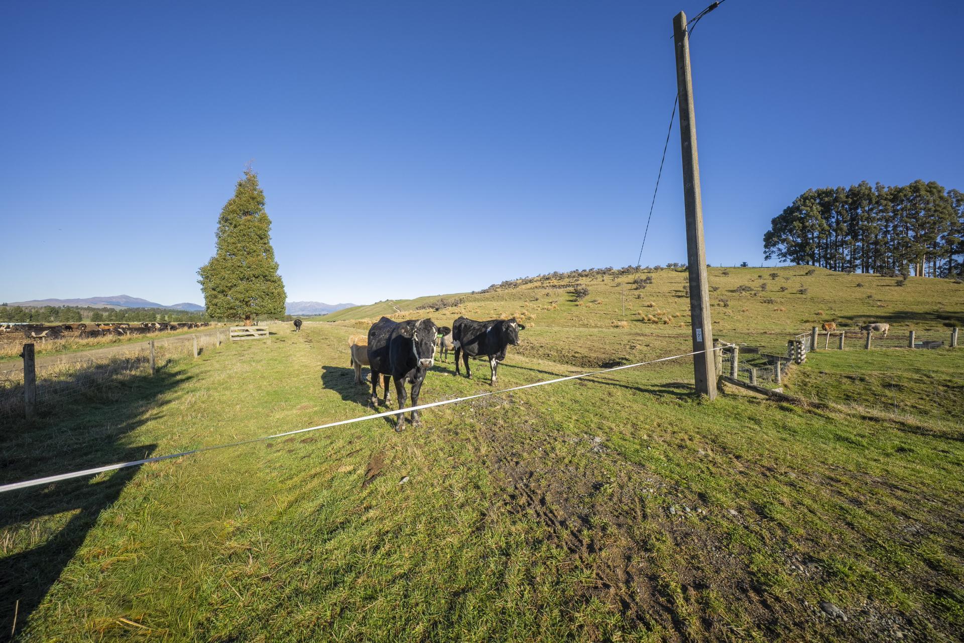 690 Kakapo Road, Te Anau