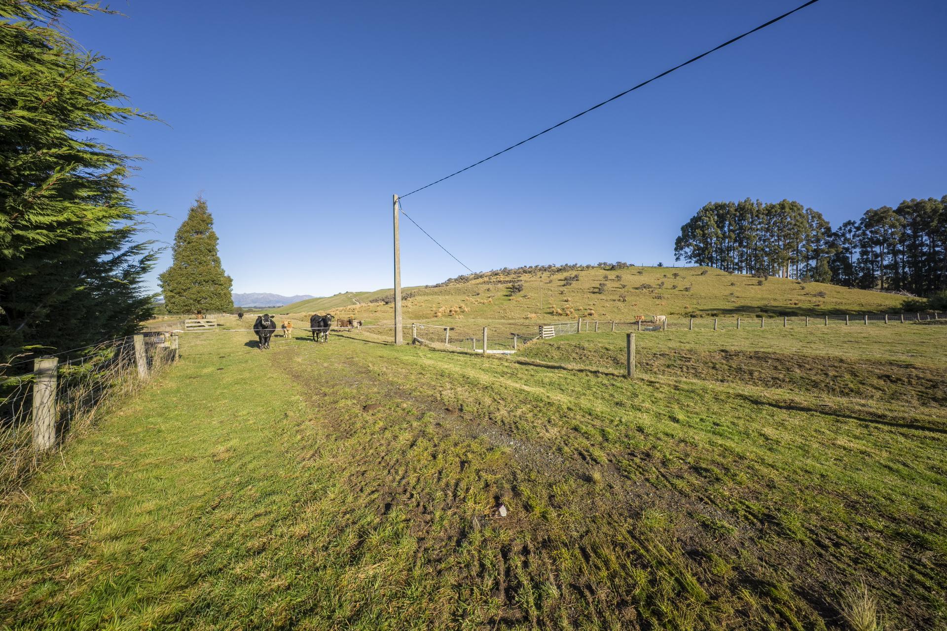690 Kakapo Road, Te Anau