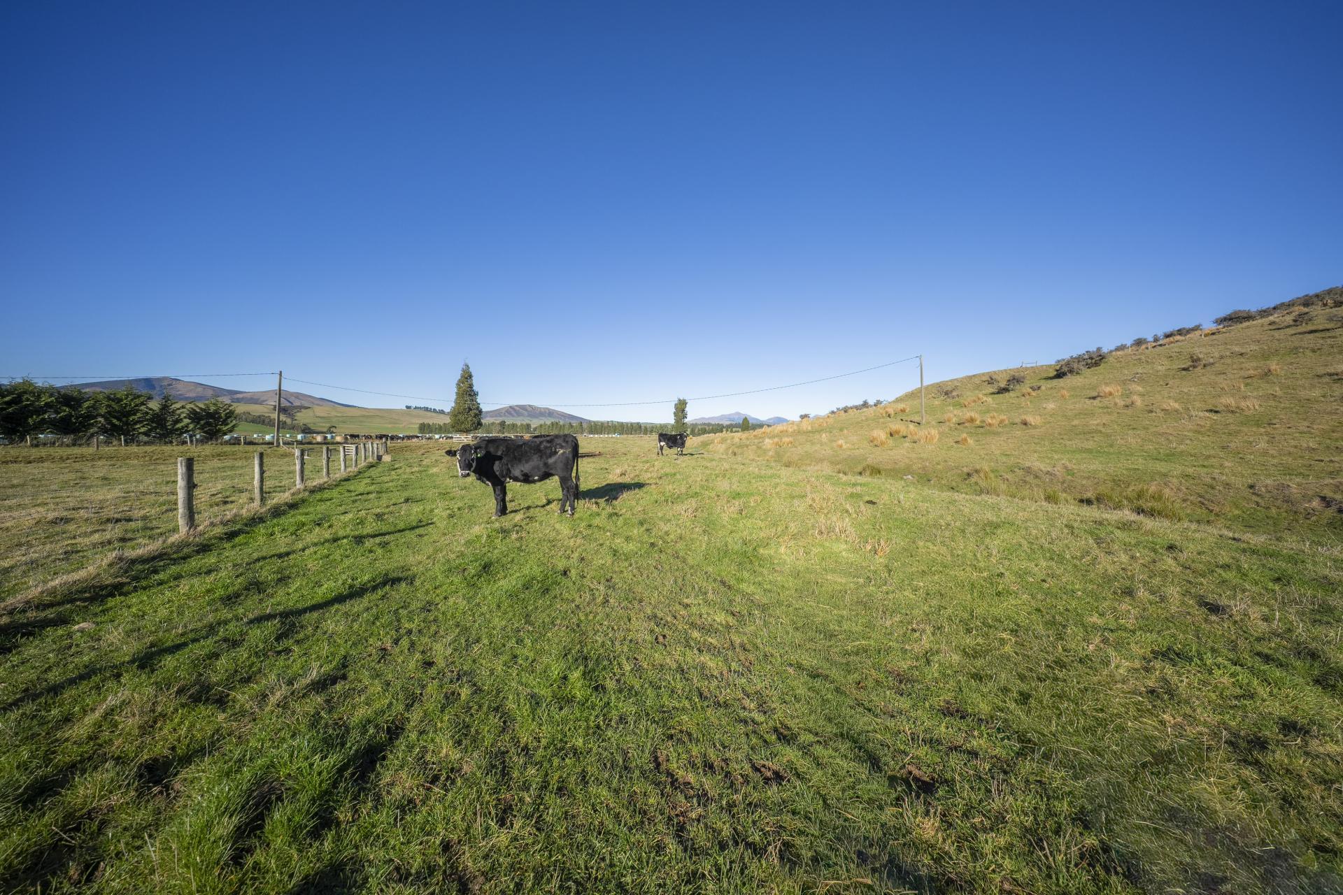 690 Kakapo Road, Te Anau