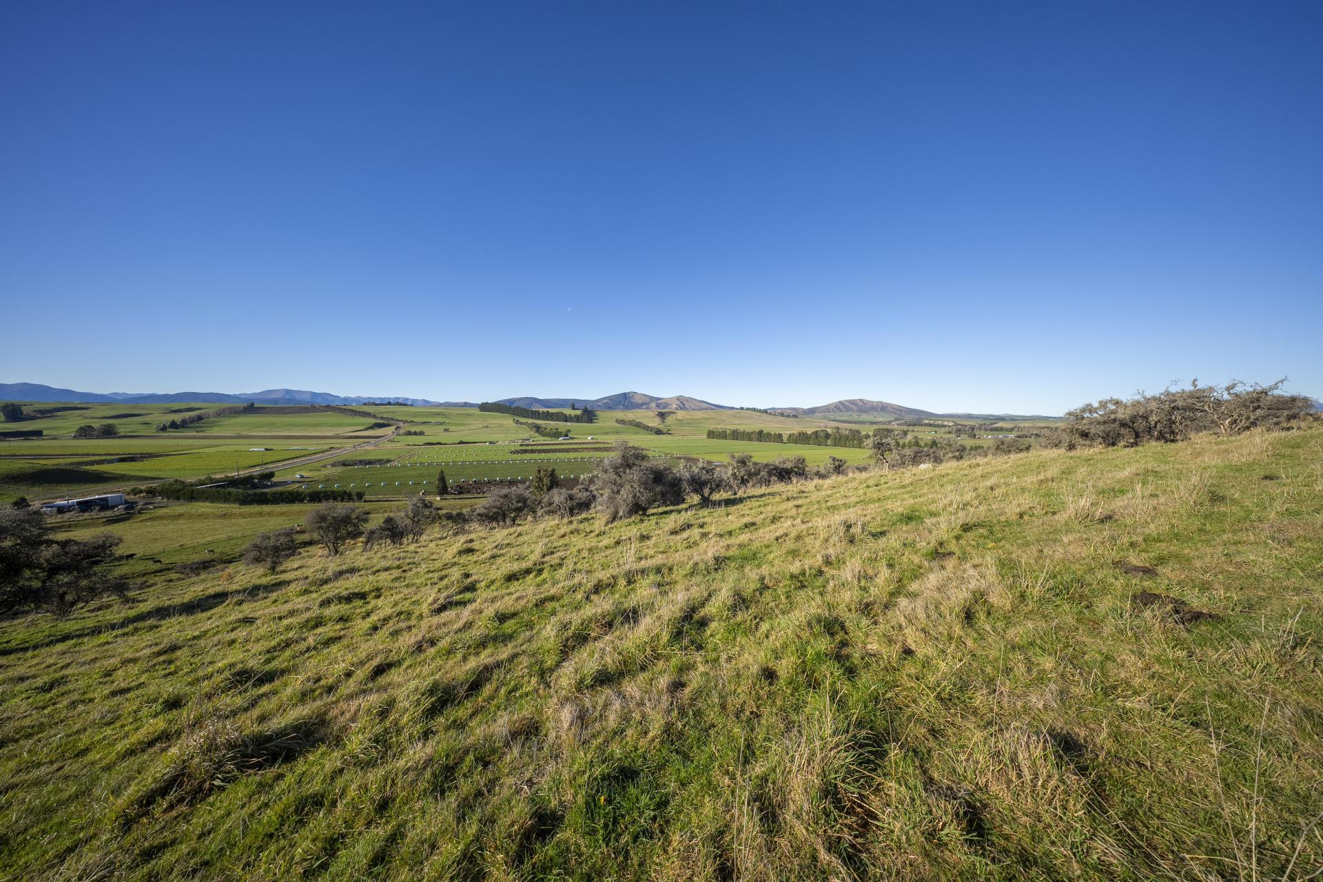 690 Kakapo Road, Te Anau