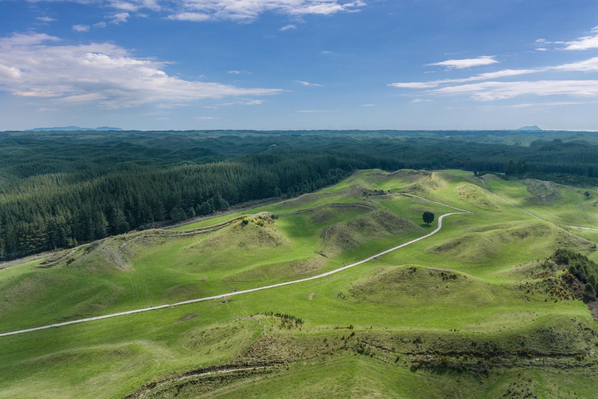 2230 Pokairoa Road, Galatea