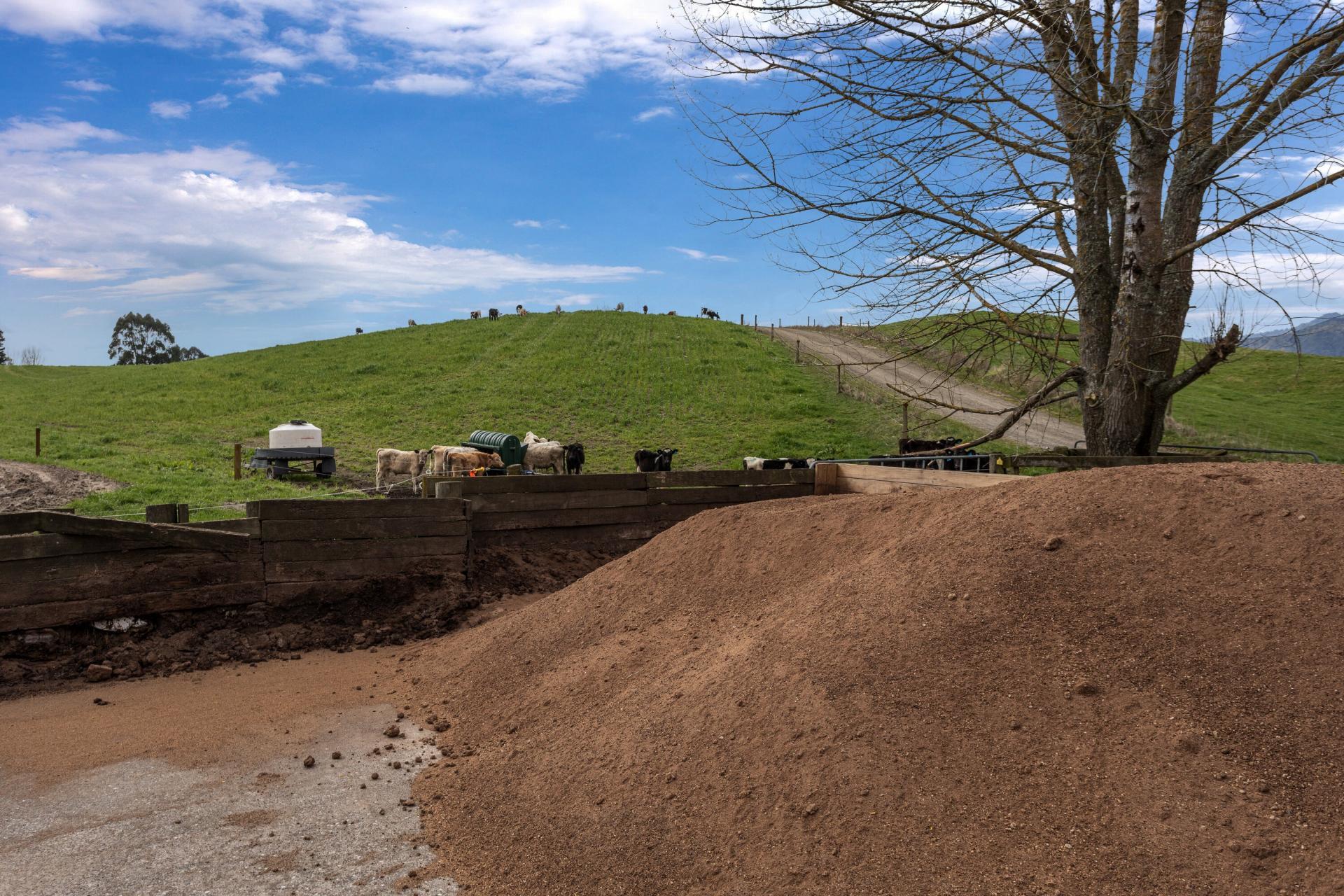 2230 Pokairoa Road, Galatea