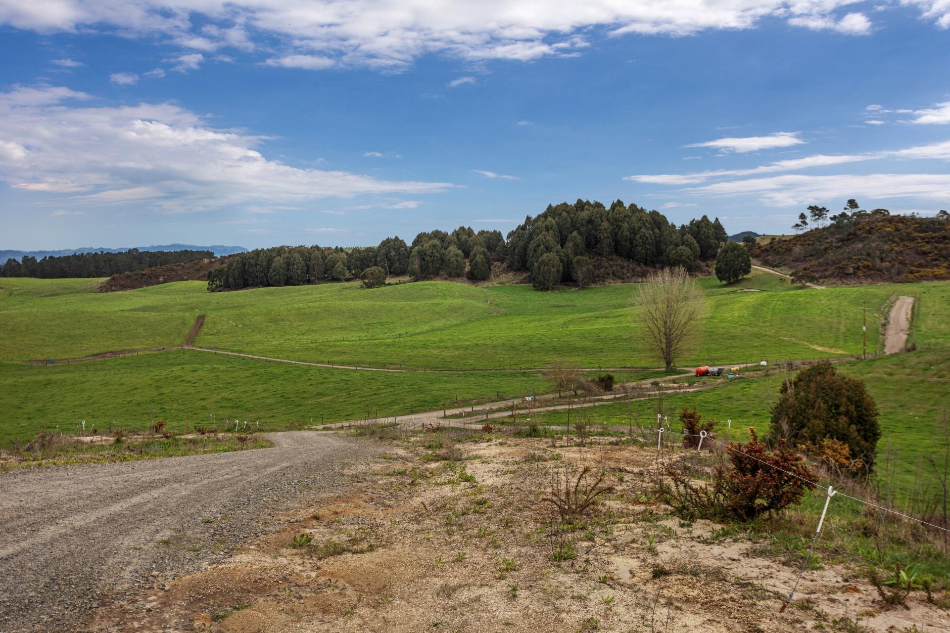 2230 Pokairoa Road, Galatea
