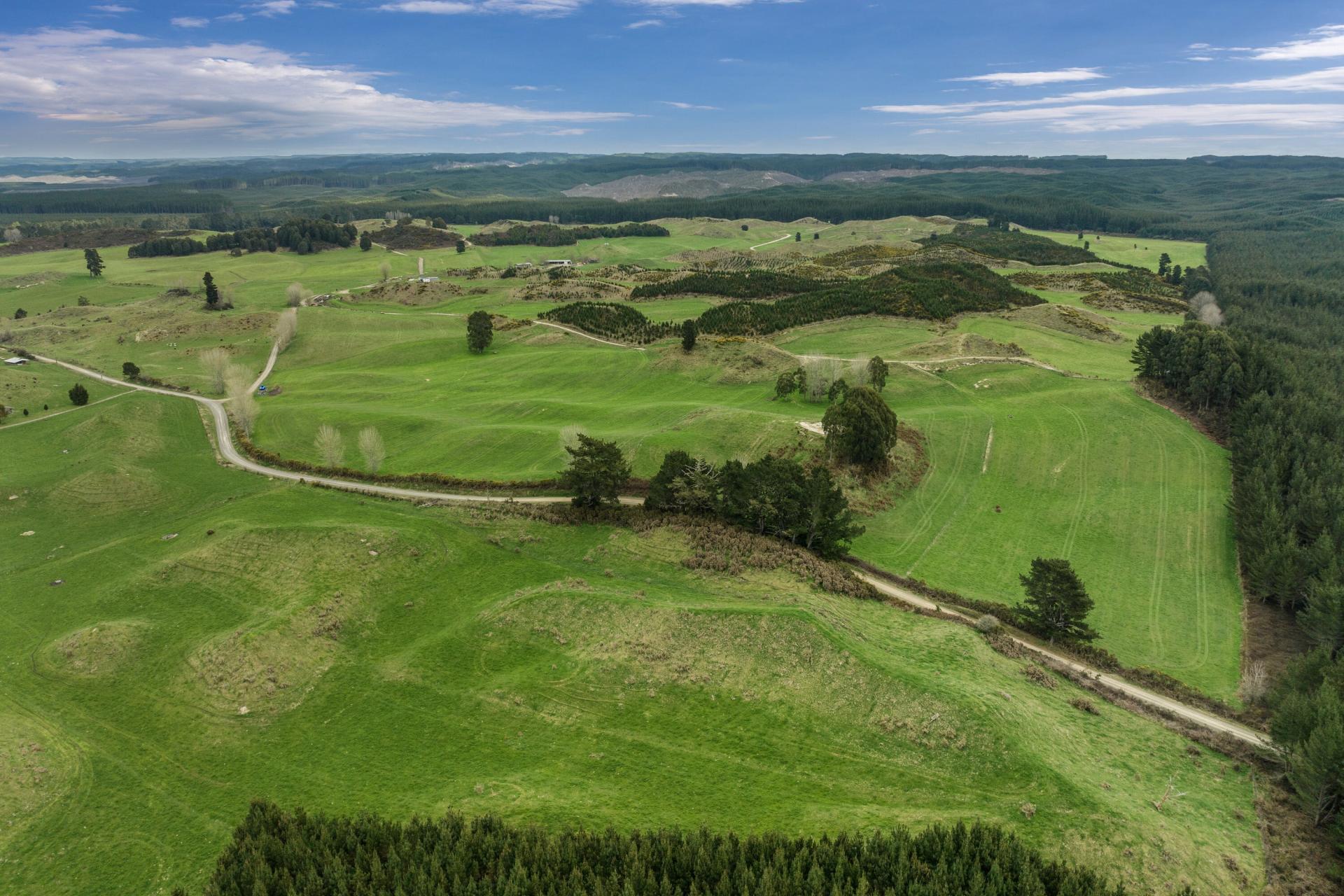 2230 Pokairoa Road, Galatea