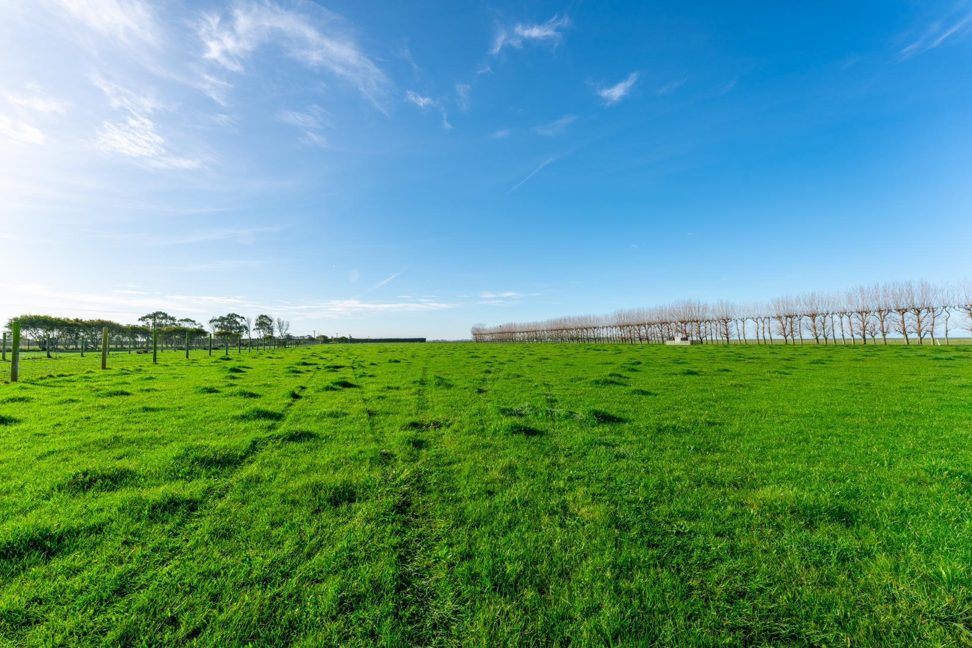 31 Seaforth Settlement Road, Seadown