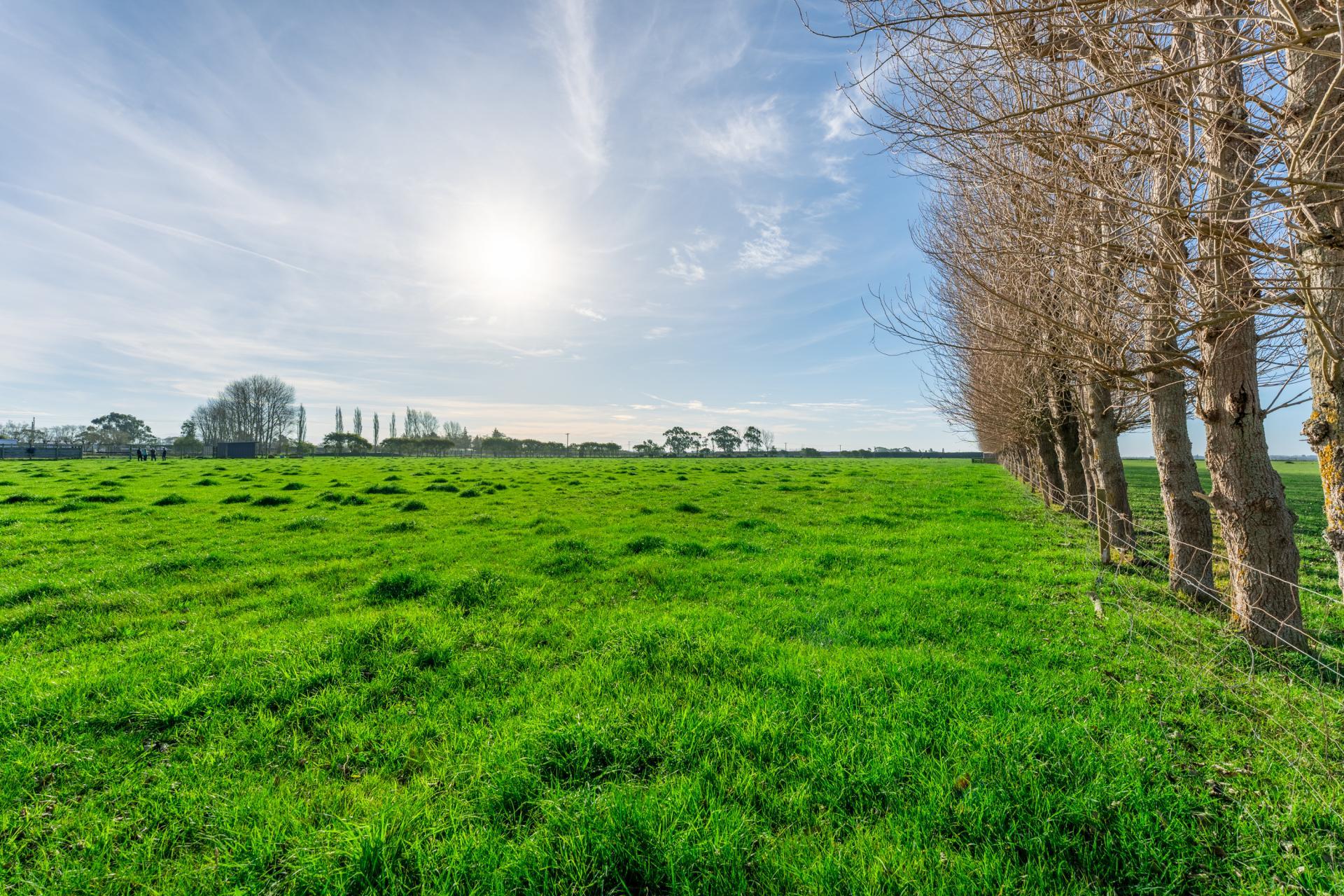 31 Seaforth Settlement Road, Seadown