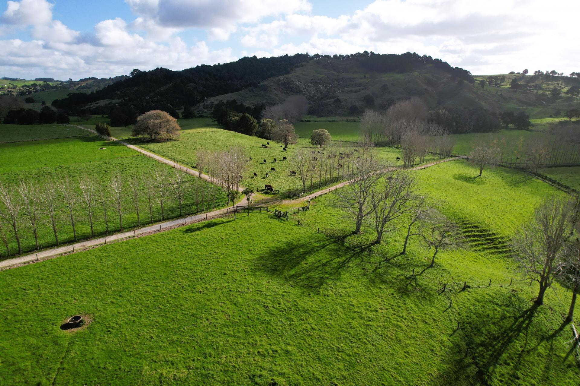 188 Swamp Road, Mareretu