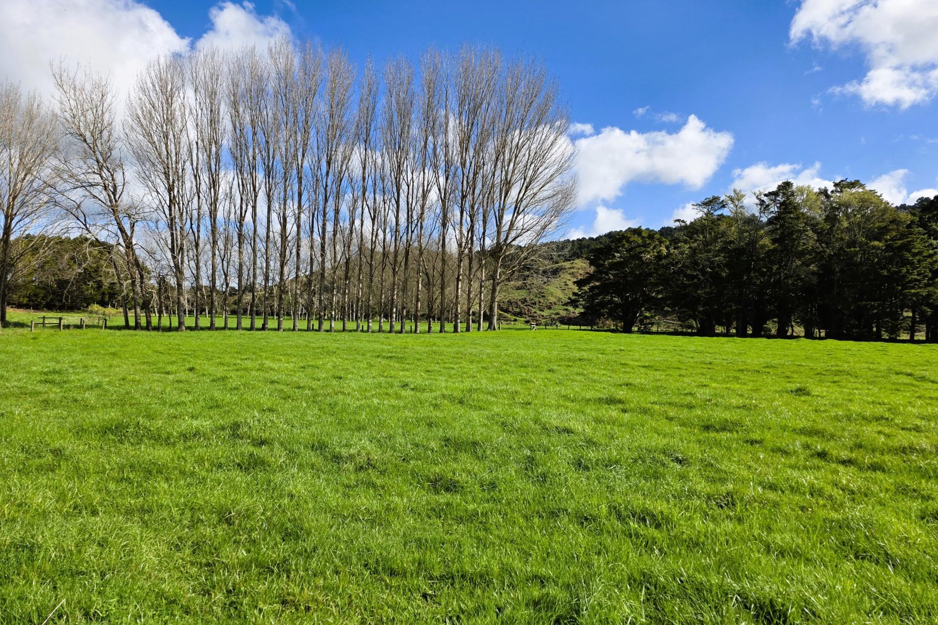 188 Swamp Road, Mareretu