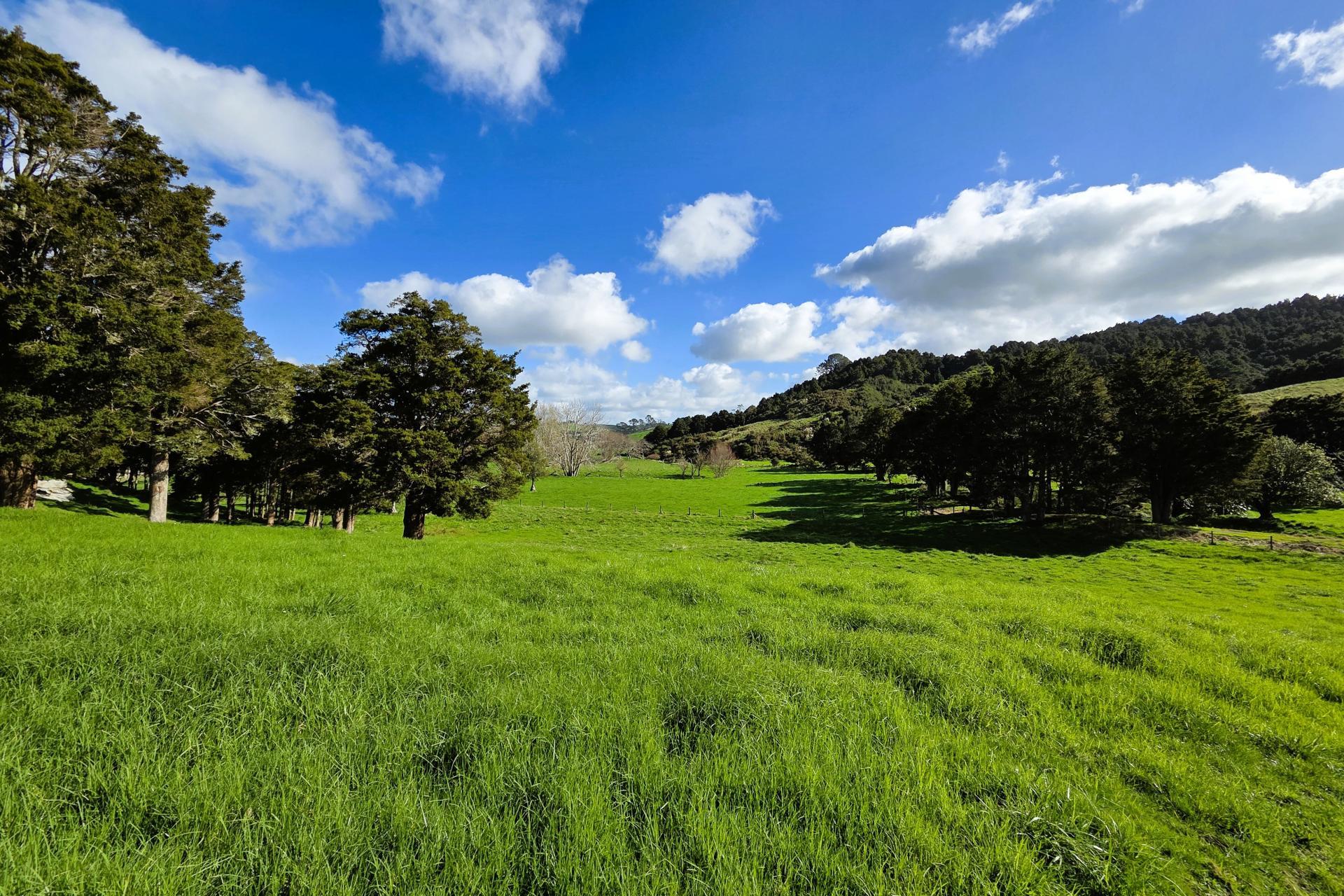 188 Swamp Road, Mareretu