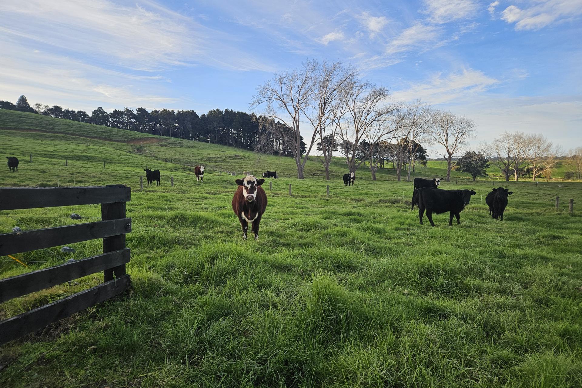 1500 Mangawhai Road, Te Arai