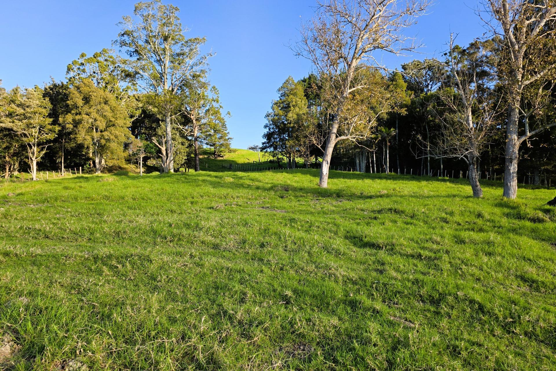 195 Sills Road, Dargaville