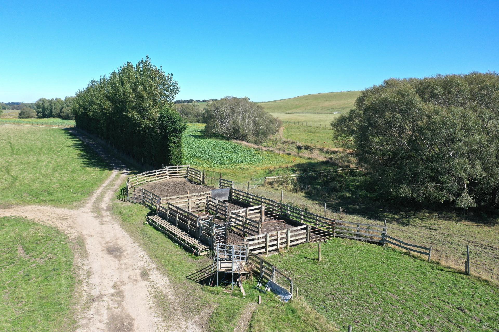 1550 Waimumu Road, Te Tipua