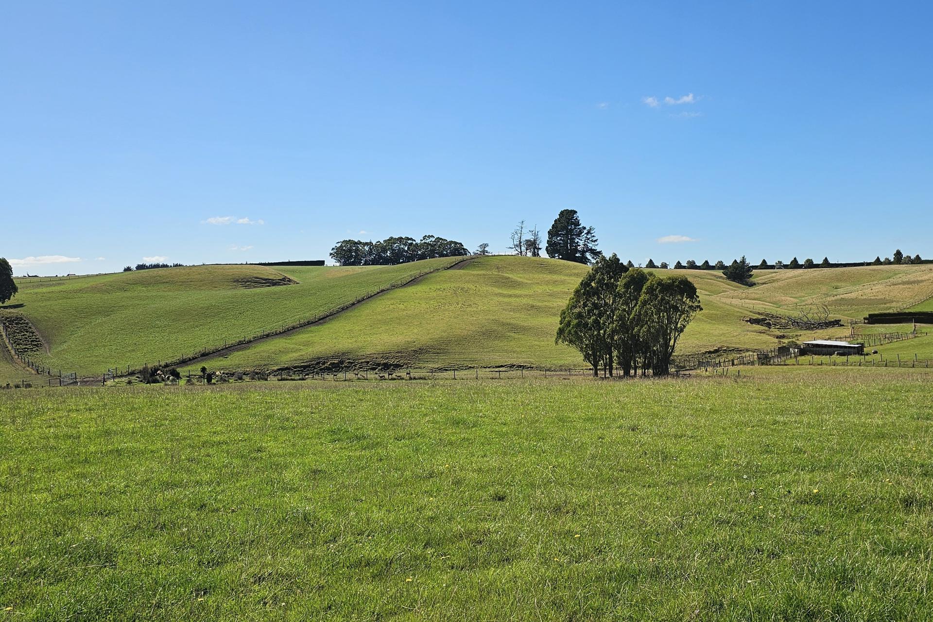 1550 Waimumu Road, Te Tipua