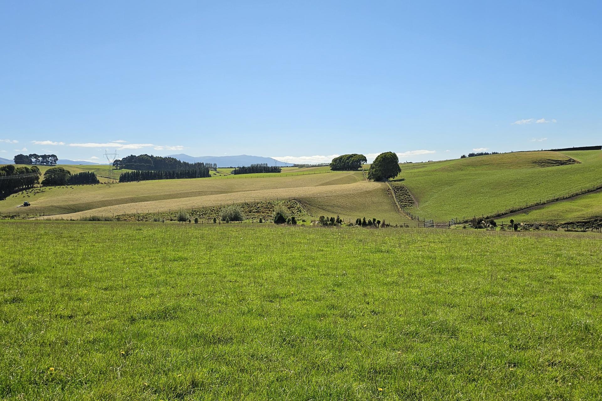 1550 Waimumu Road, Te Tipua