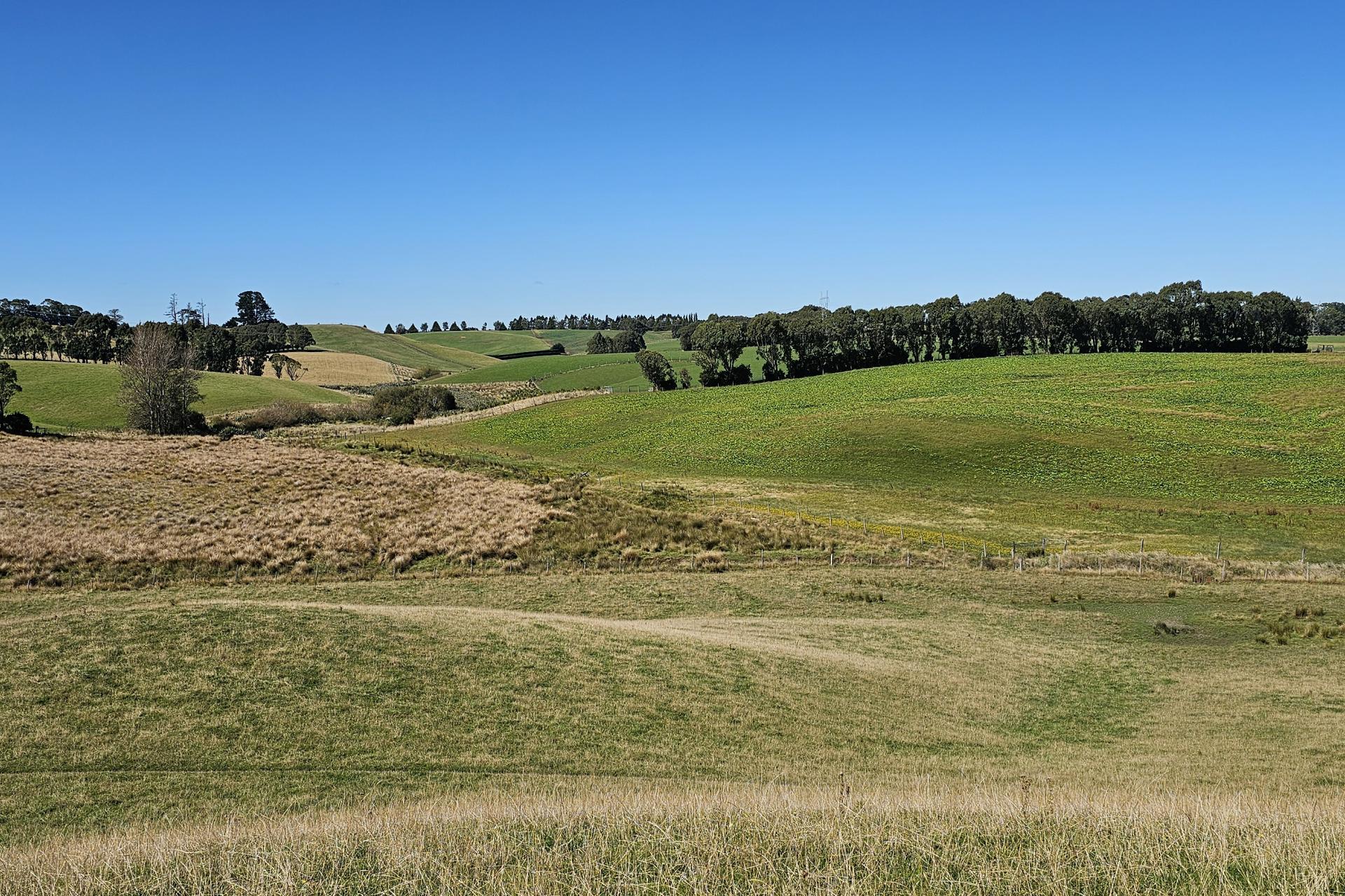 1550 Waimumu Road, Te Tipua