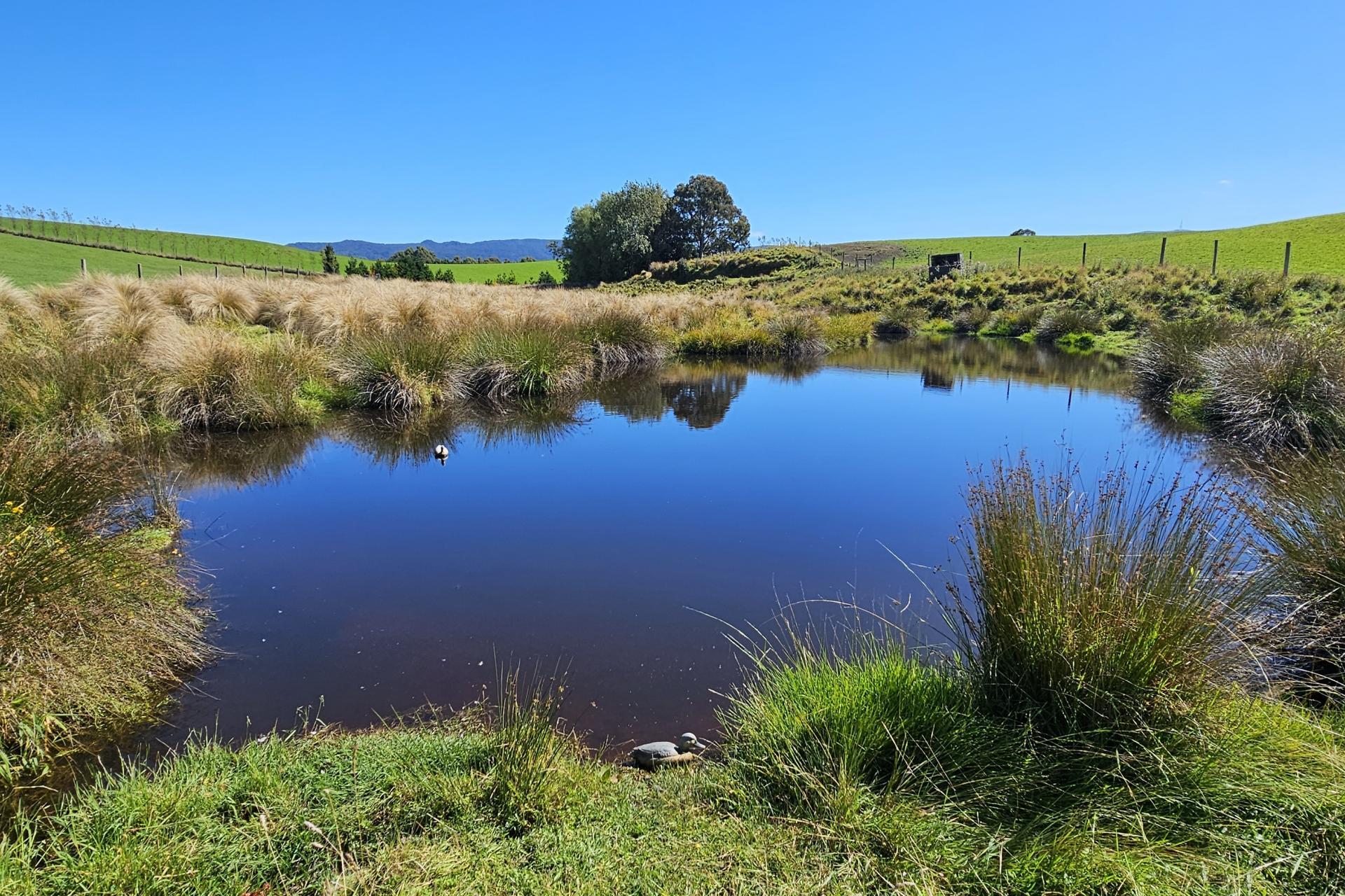 1550 Waimumu Road, Te Tipua