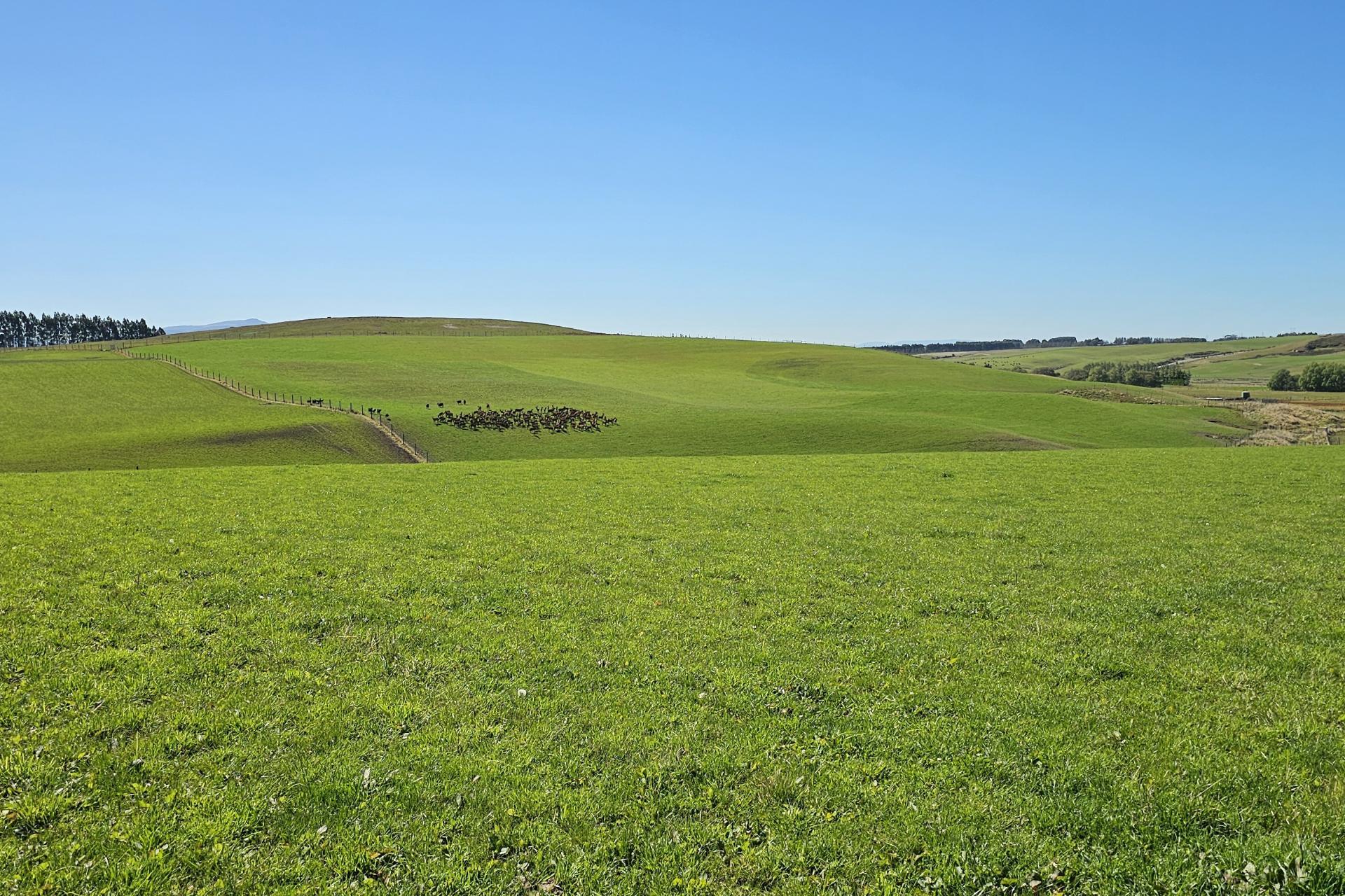 1550 Waimumu Road, Te Tipua