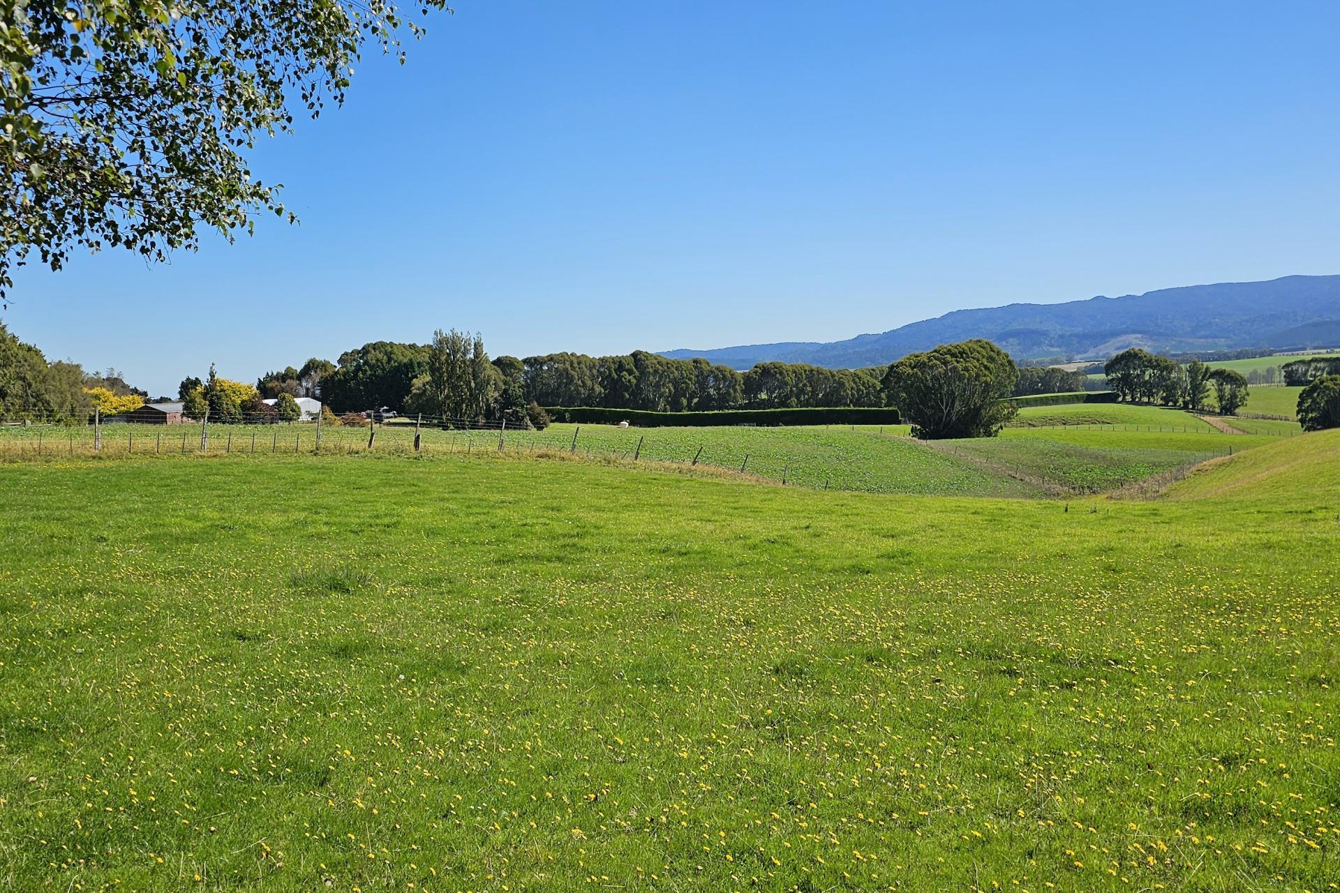 1550 Waimumu Road, Te Tipua