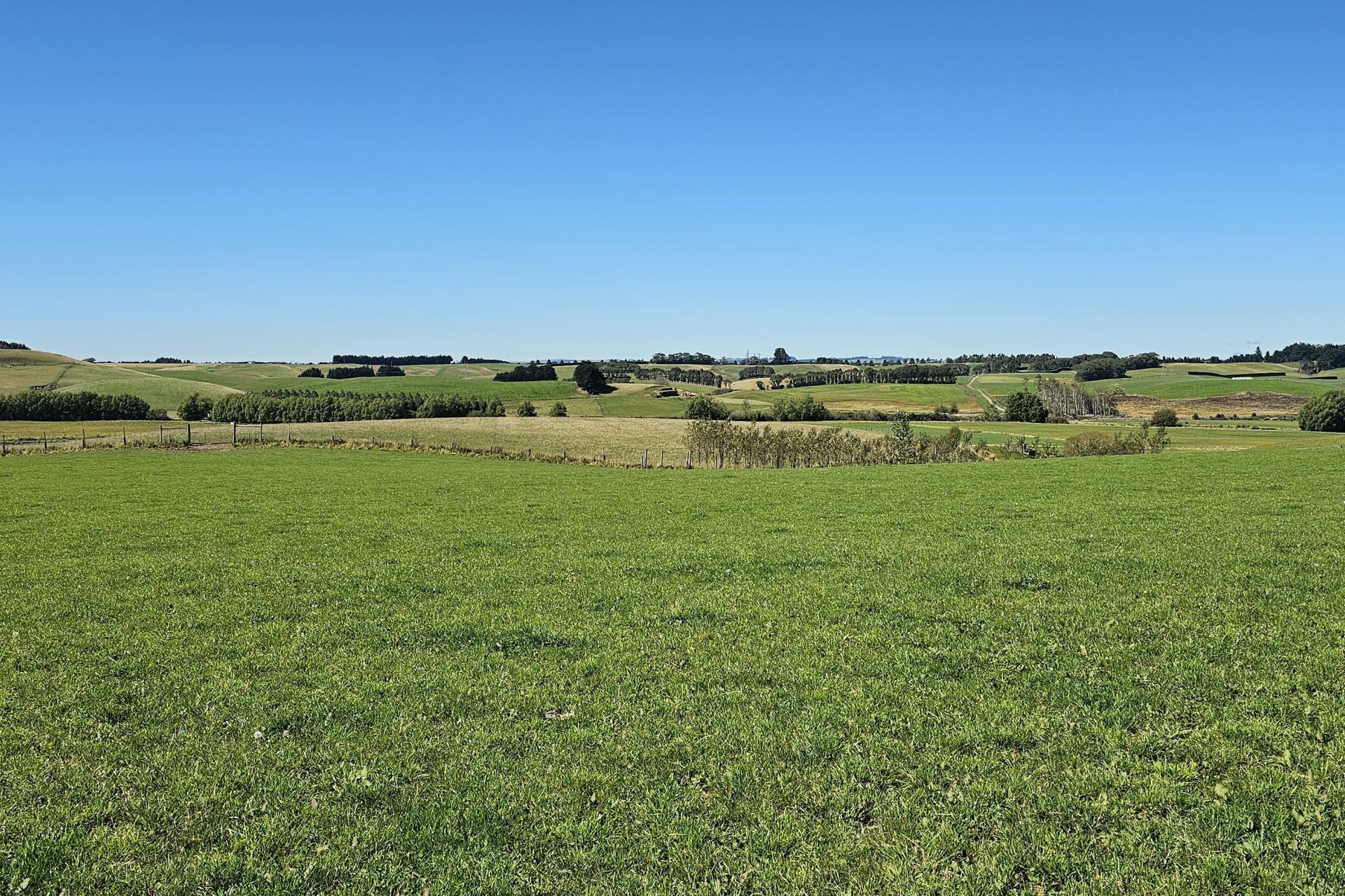 1550 Waimumu Road, Te Tipua
