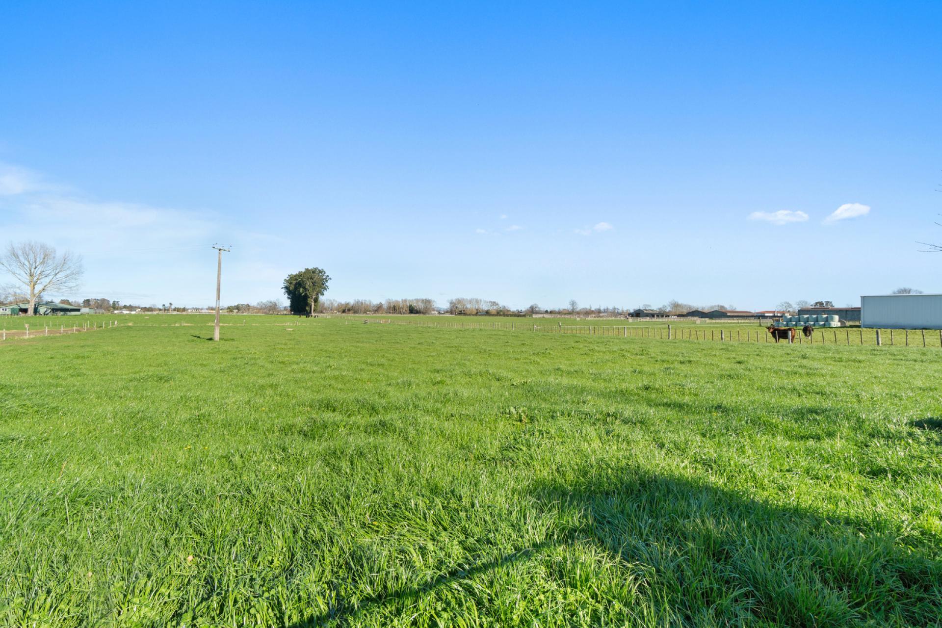 52 Racecourse Road, Te Aroha