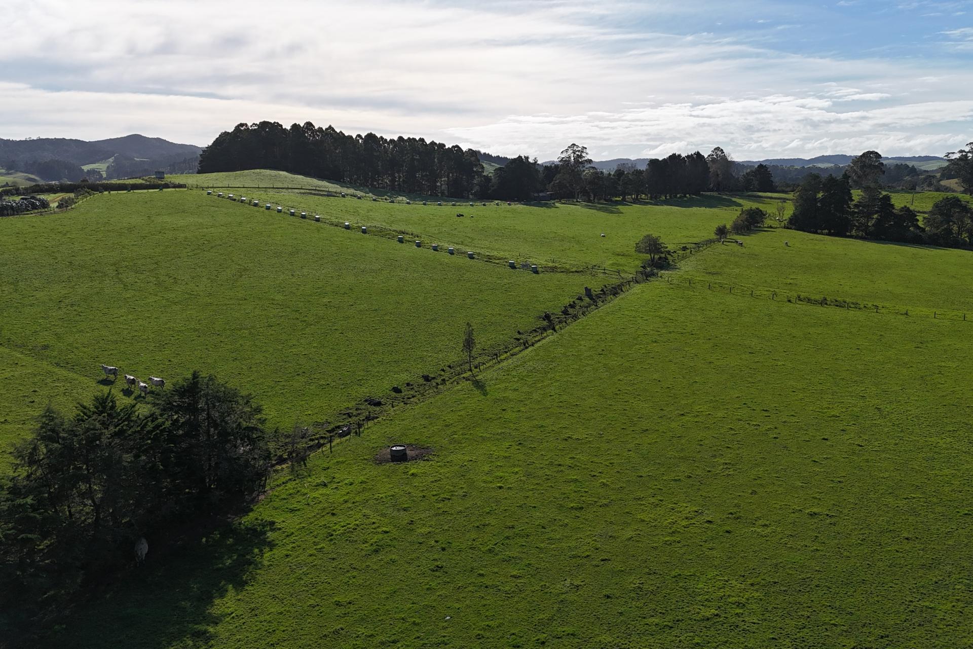 801 State Highway 10, Oromahoe