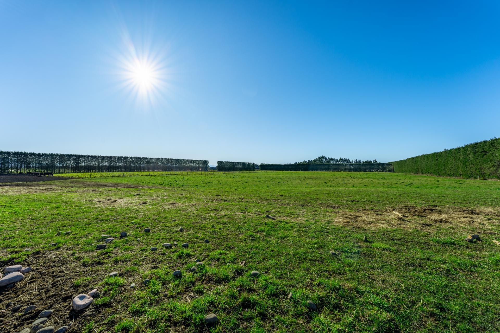 15 McClelland Road and 15 Taylor Road, Rangitata