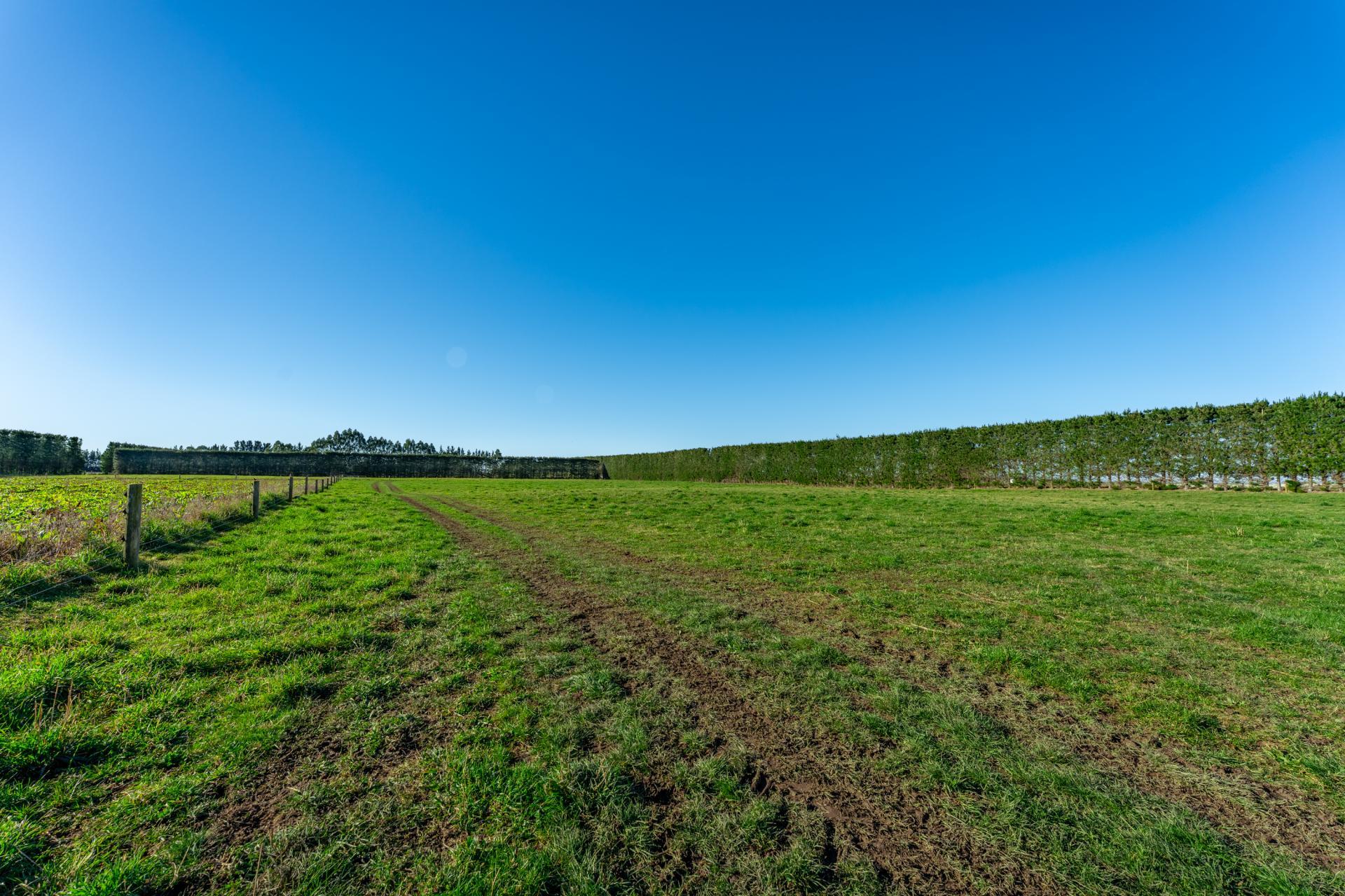 15 McClelland Road and 15 Taylor Road, Rangitata