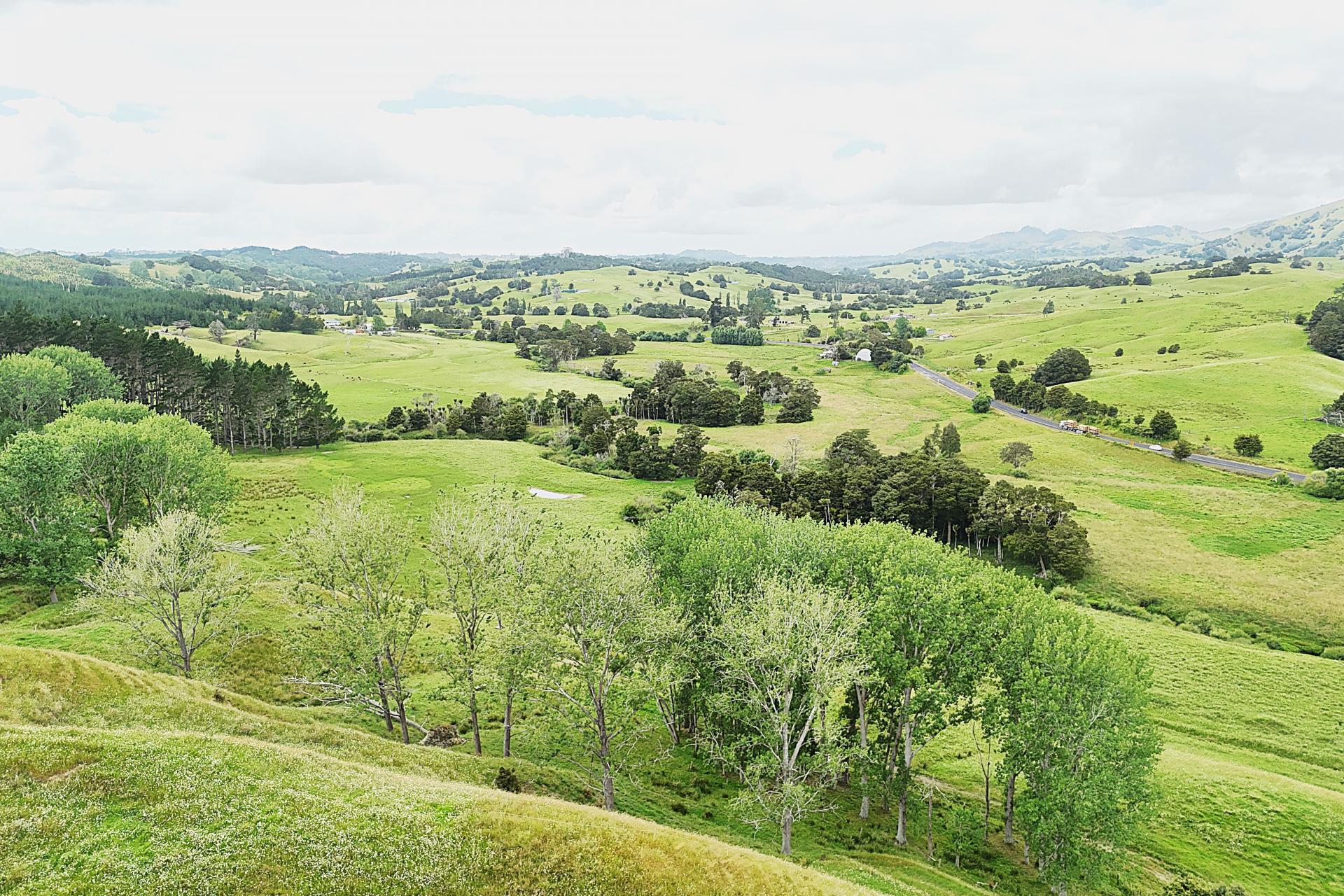 2694 State Highway 14, Dargaville