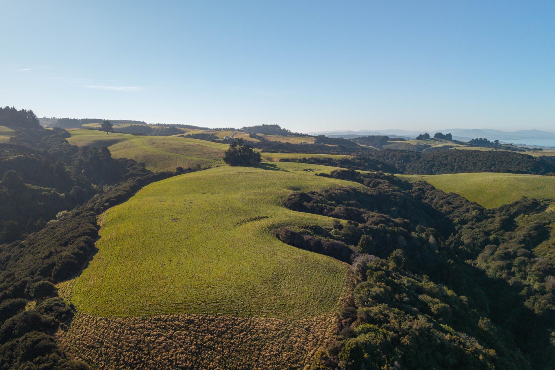 125 Sawmill Road, Taieri Beach