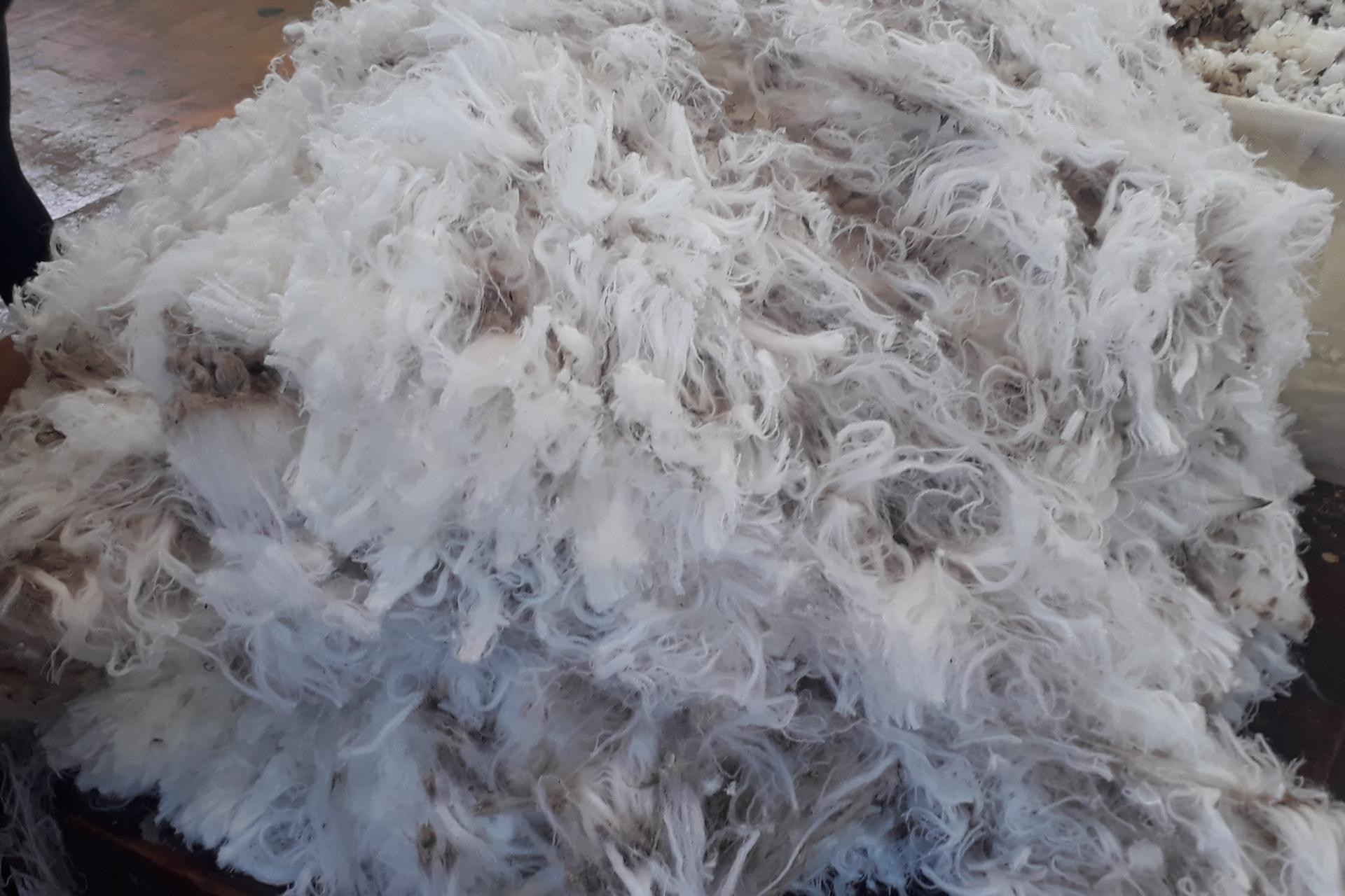 Omarama-Otematata Road, Otematata