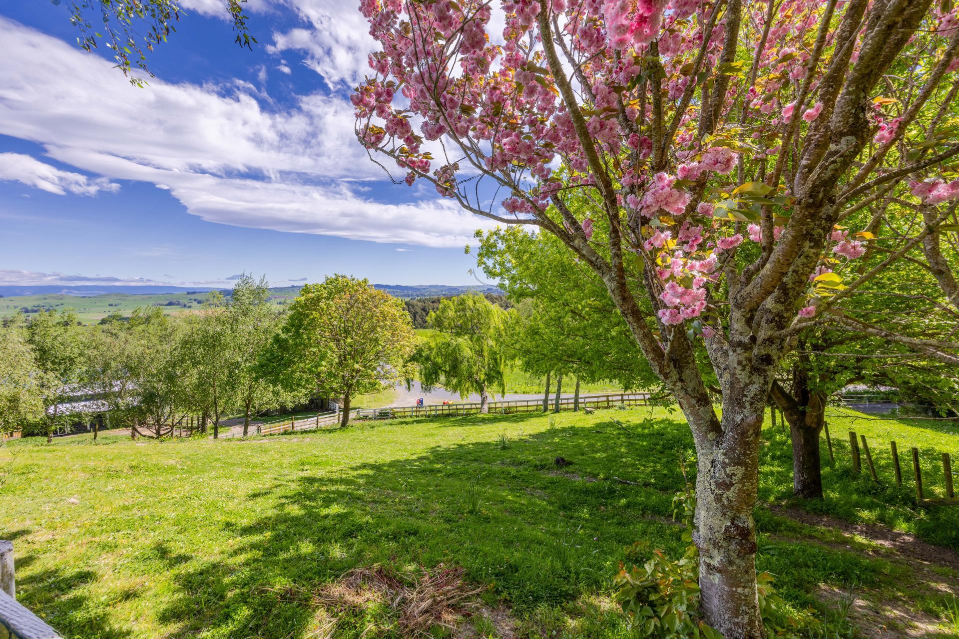 128 Mangatarata Road, Waipukurau