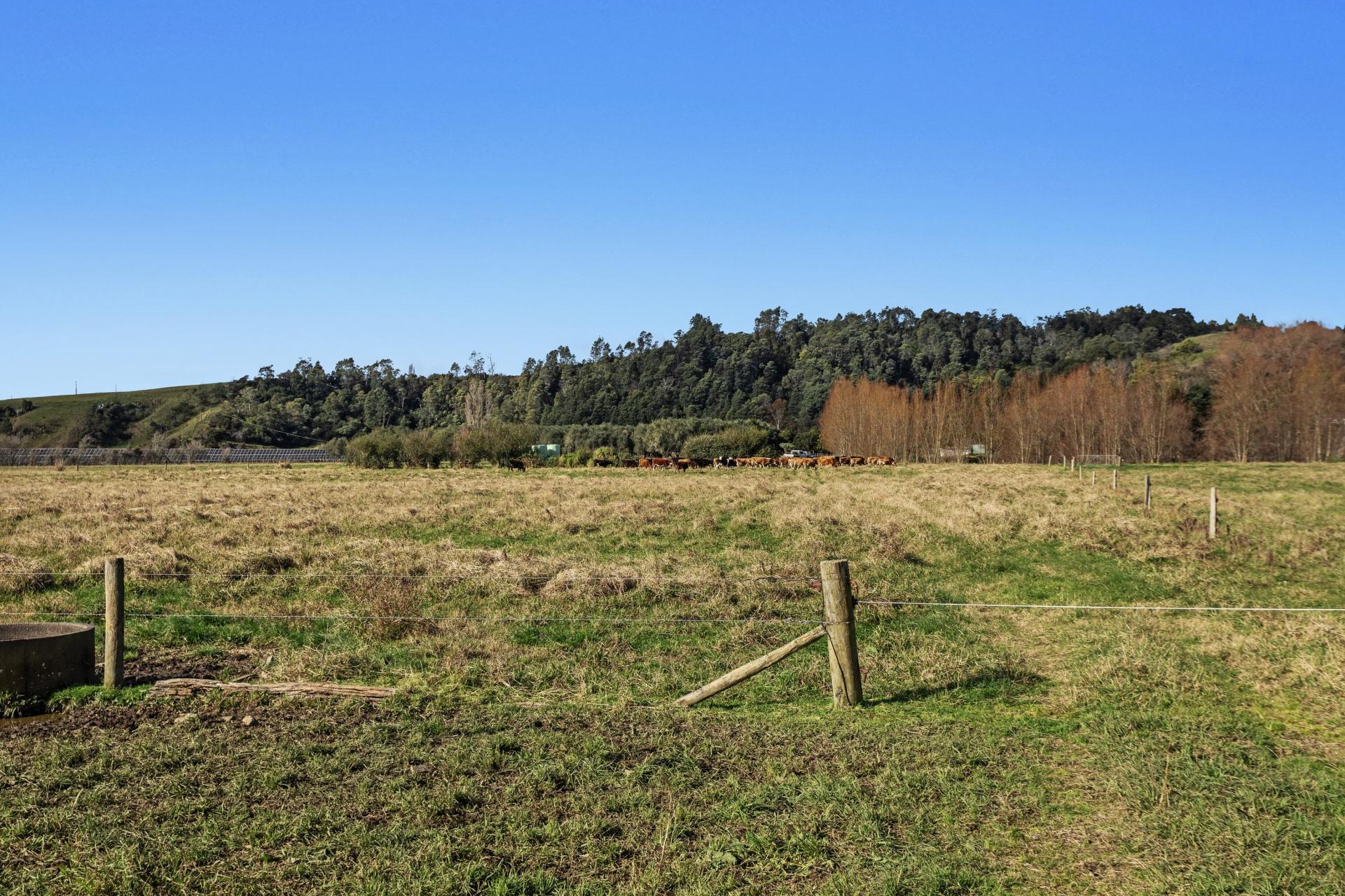 Waiotahe Valley Road, Waiotahe