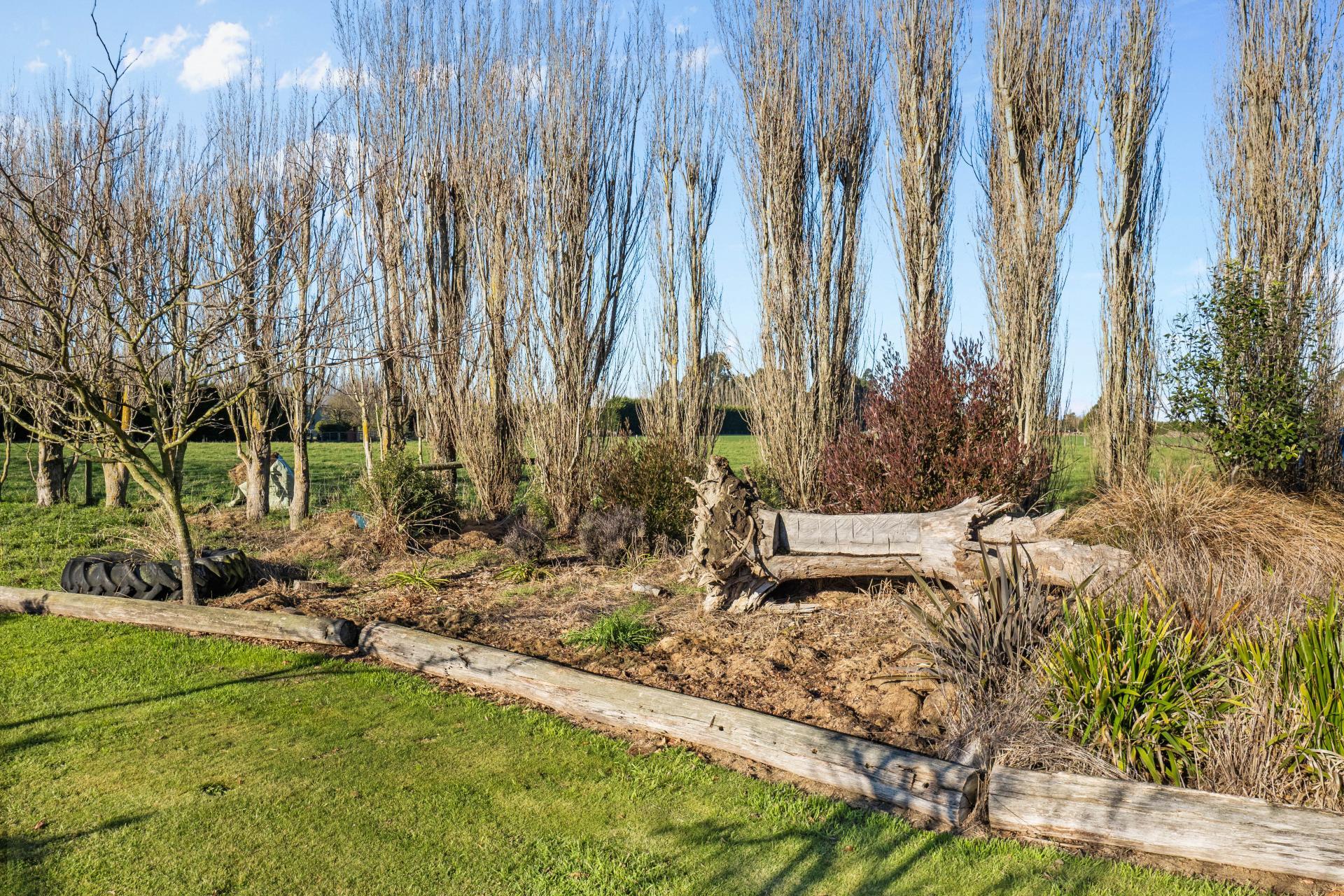 345 Wakanui Road, Elgin