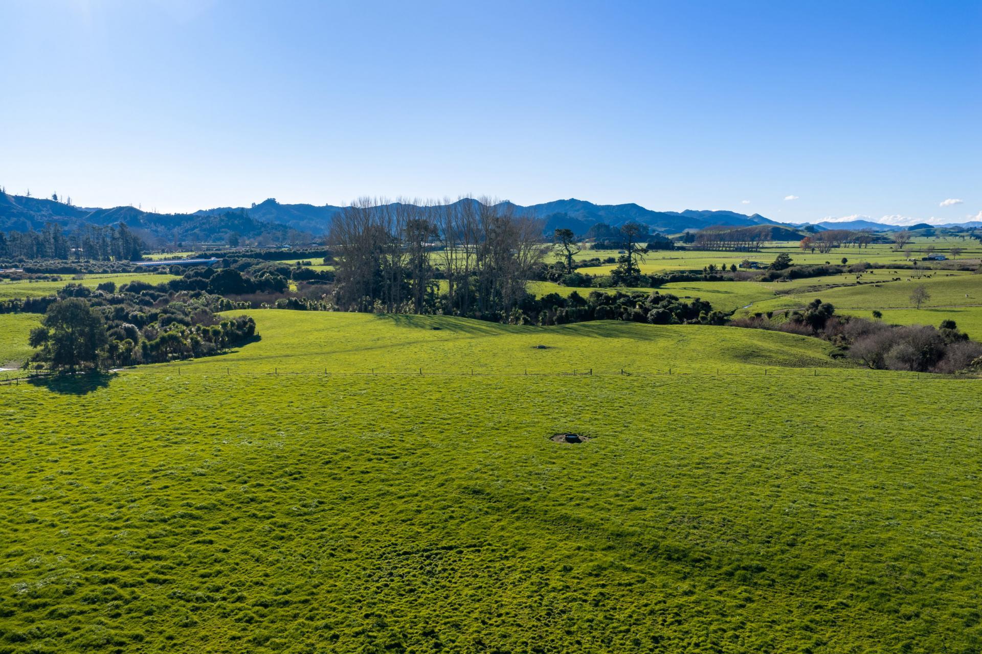 Waring Road, Taupiri , Huntly