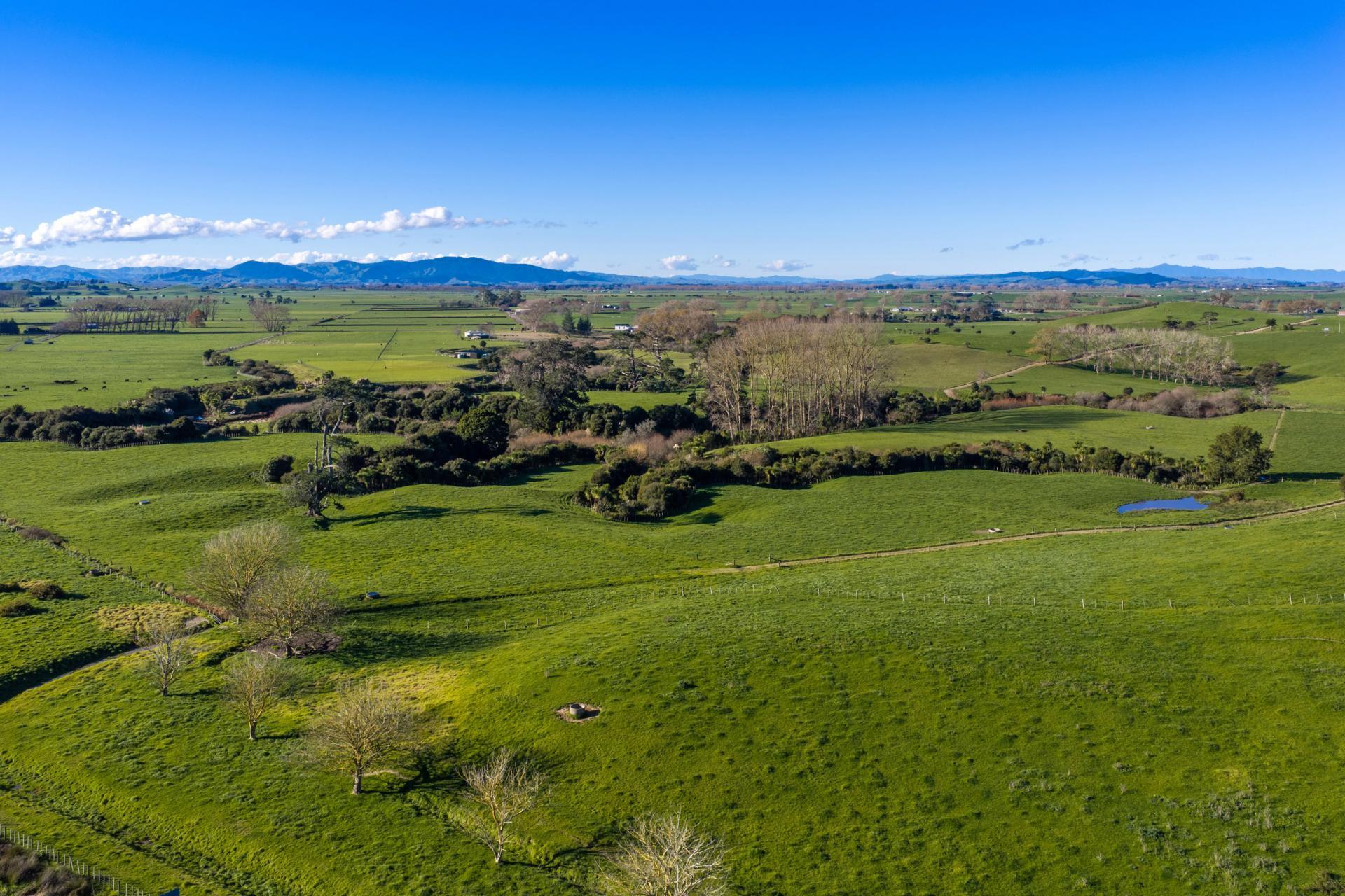Waring Road, Taupiri , Huntly