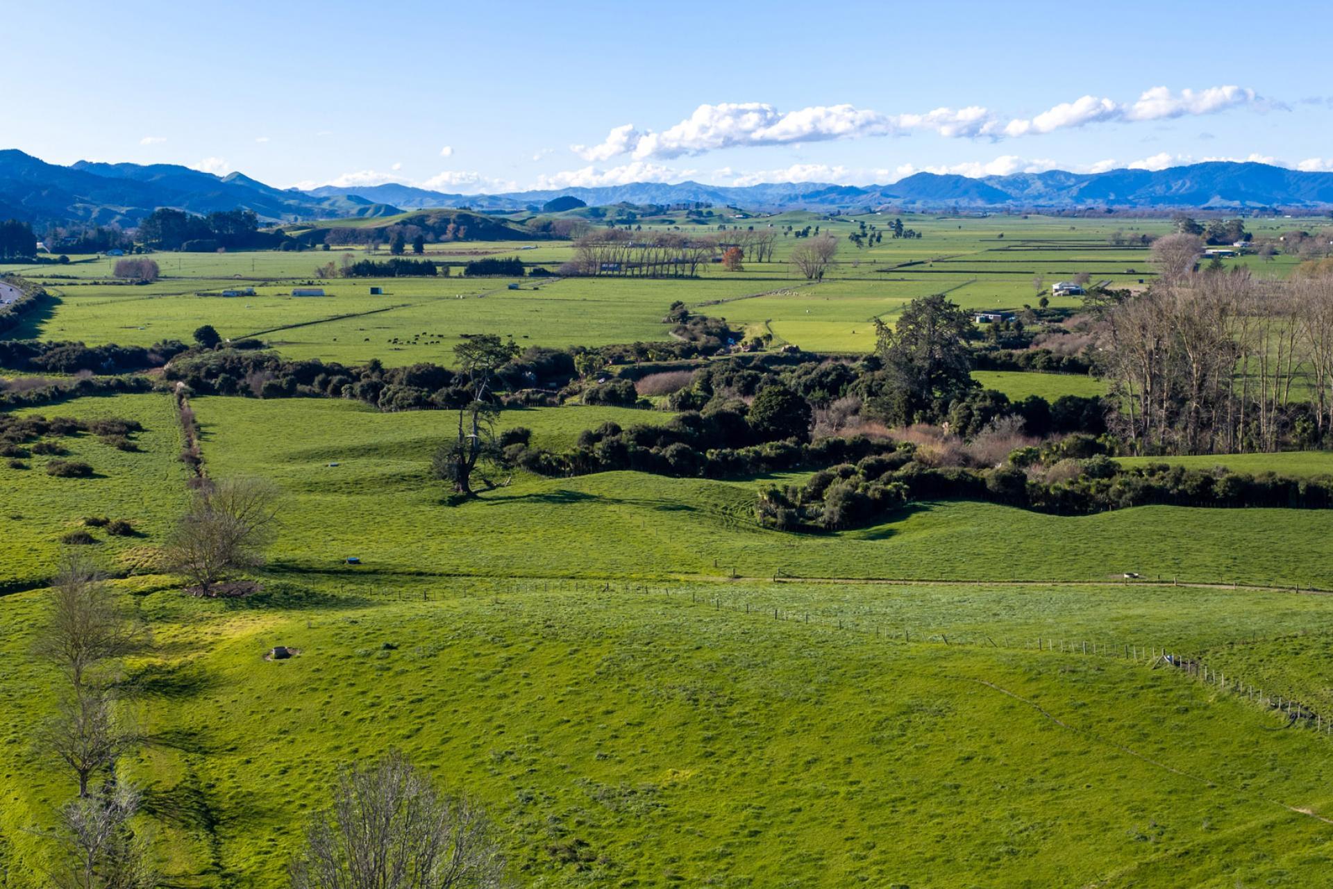 Waring Road, Taupiri , Huntly