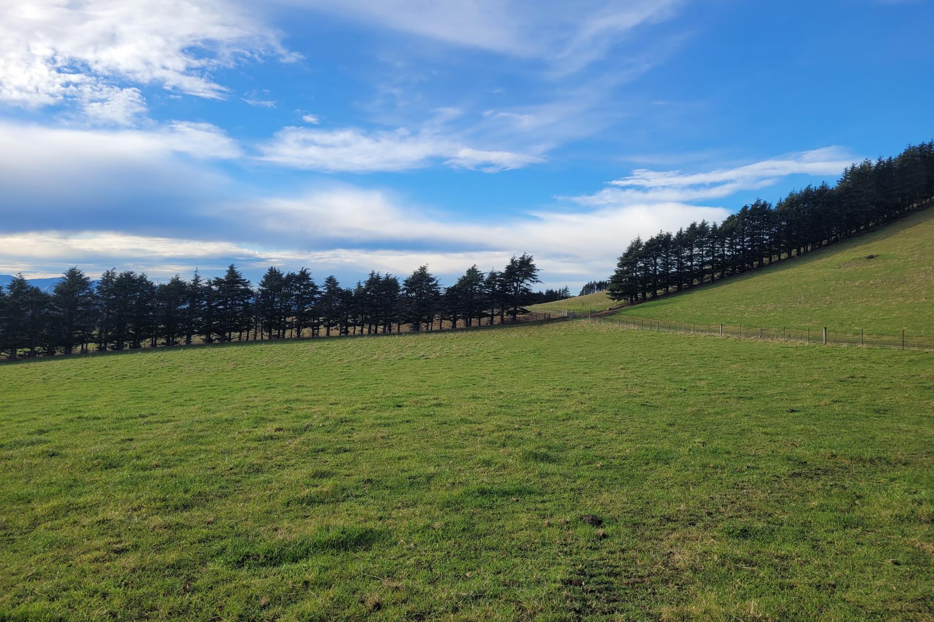 2 Danseys Pass Road, Livingstone